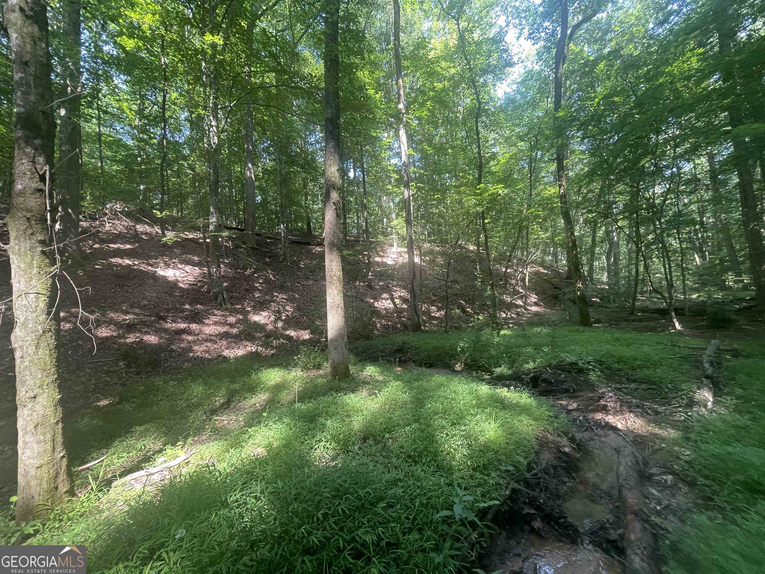 0 High Point Trail Property Photo 8