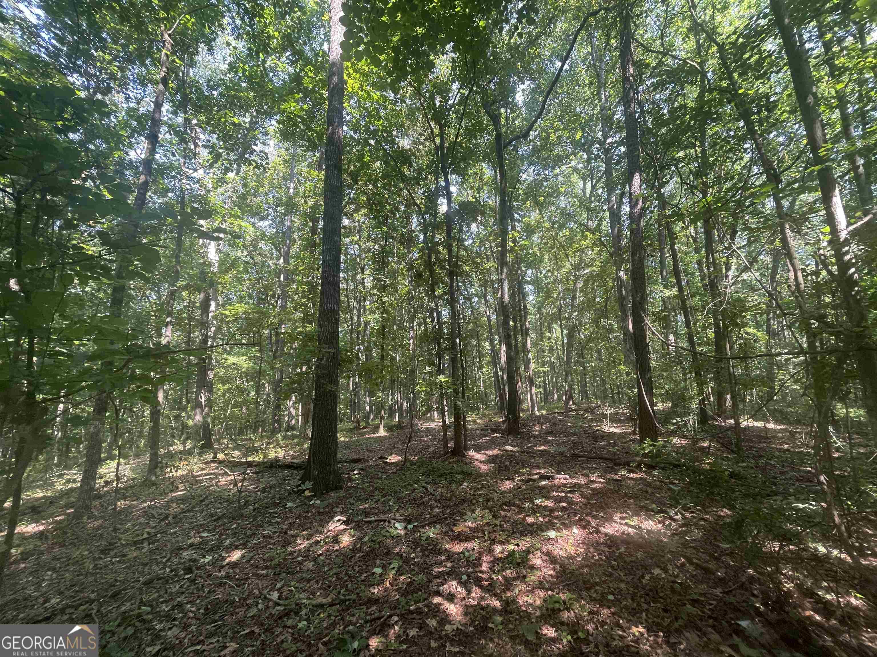 0 High Point Trail Property Photo 9
