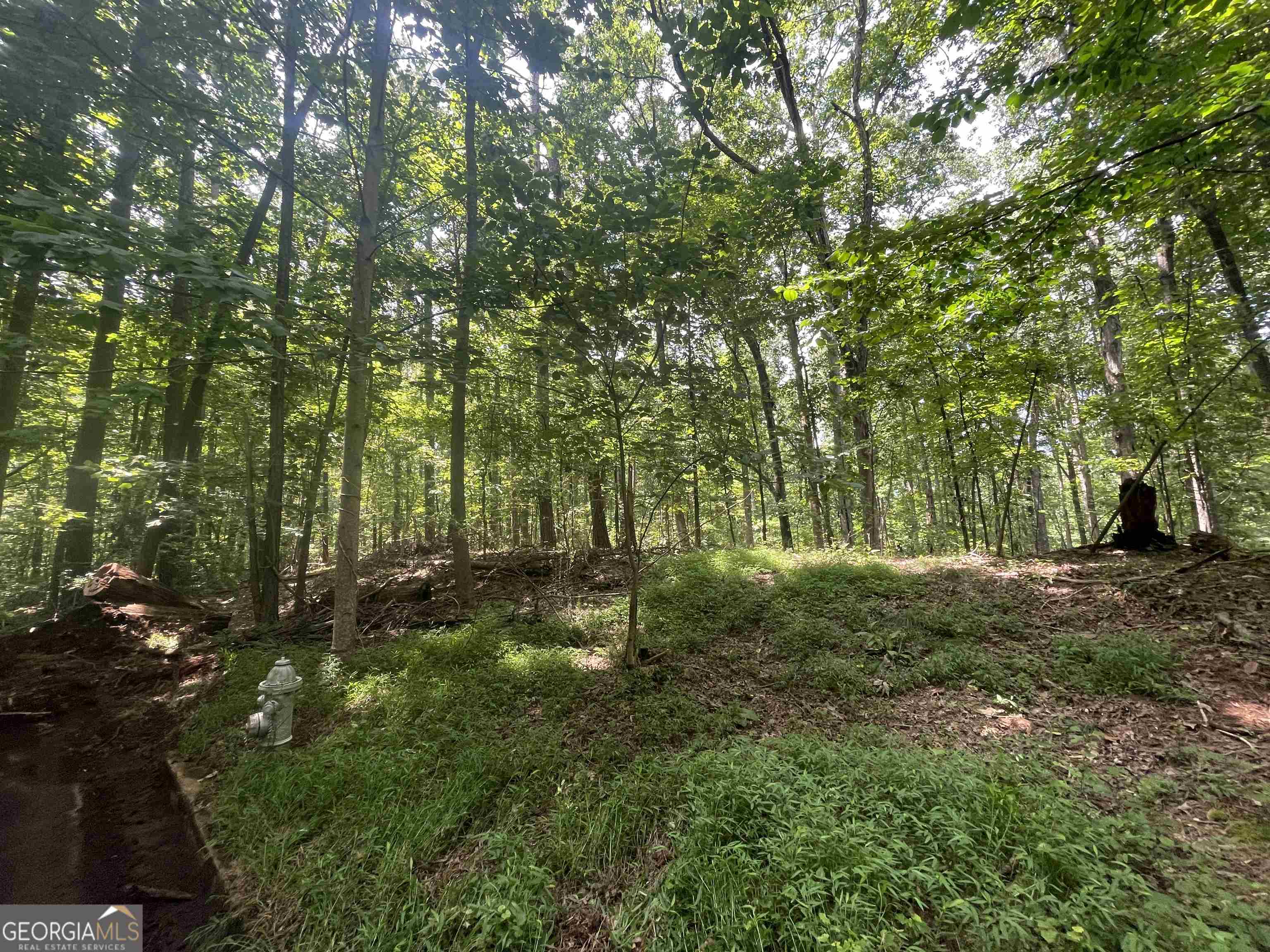 0 High Point Trail Property Photo 10