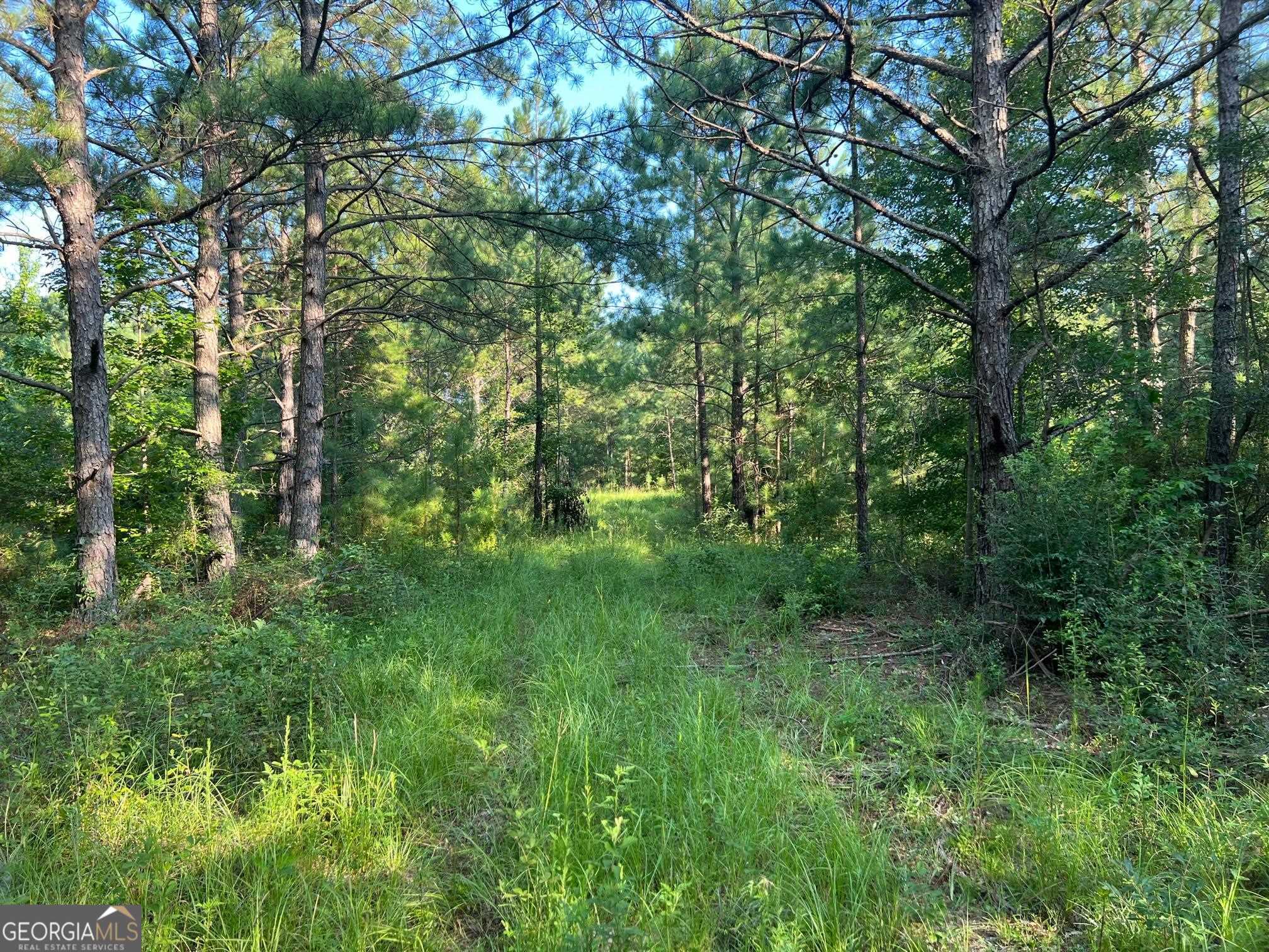 0 53 Highway Property Photo 1