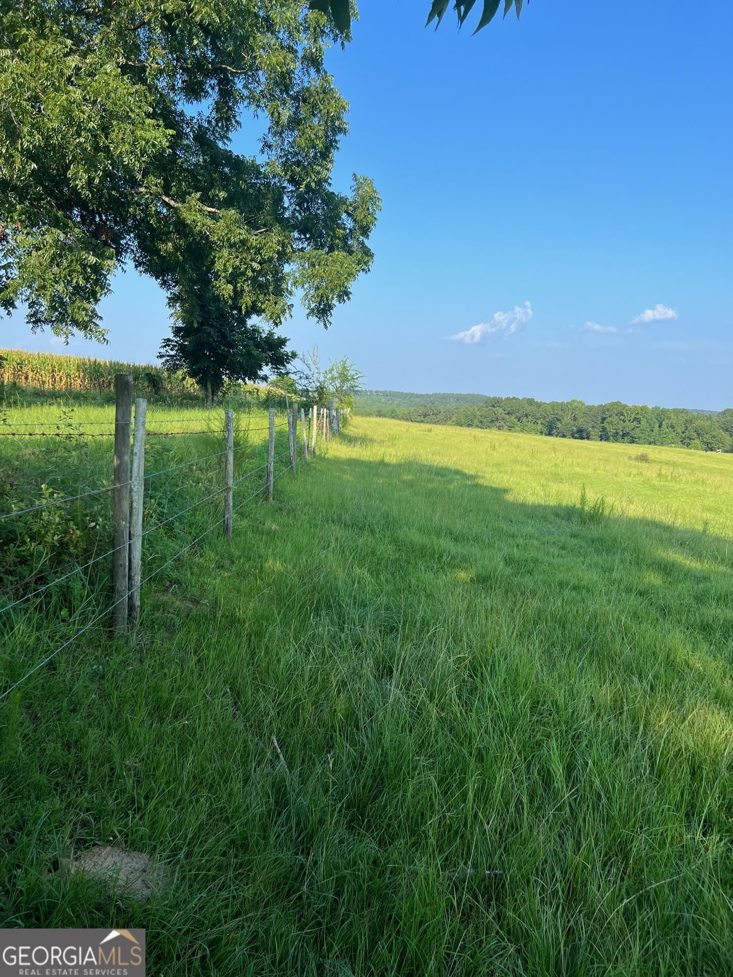 0 53 Highway Property Photo 4