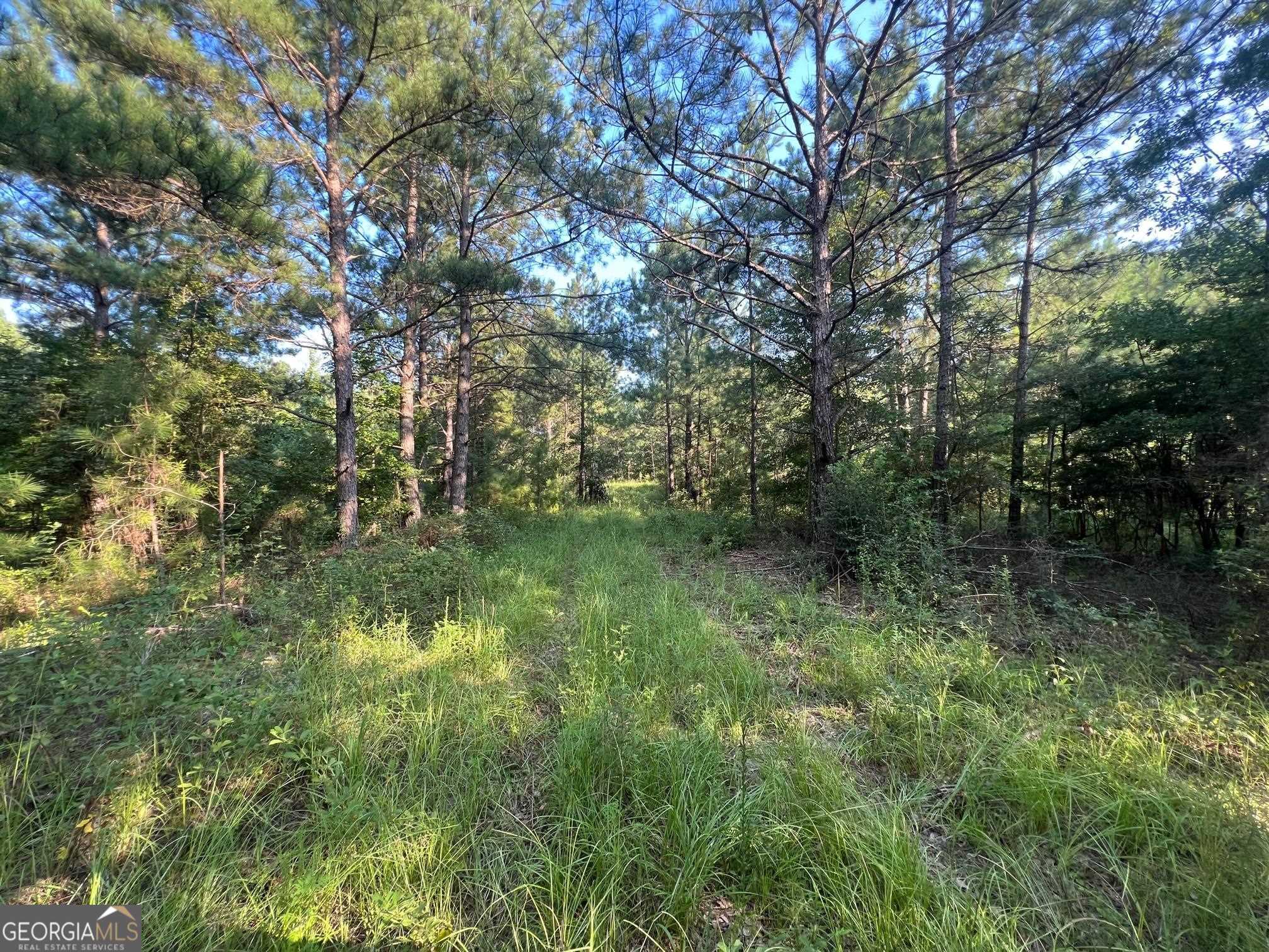 0 53 Highway Property Photo 7