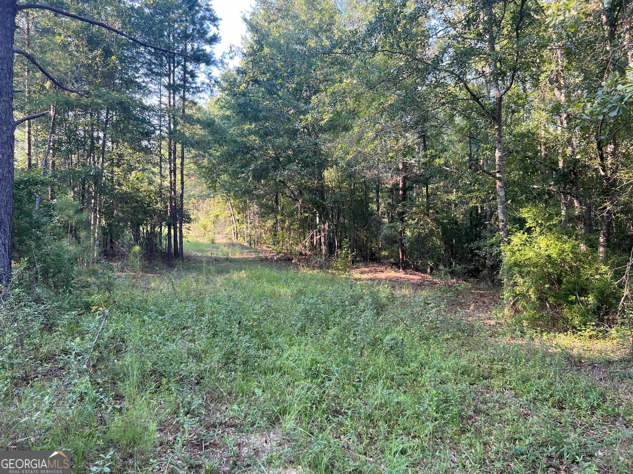 0 53 Highway Property Photo 11