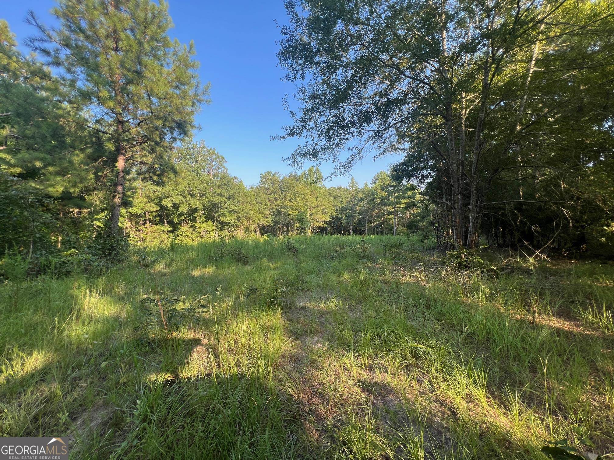 0 53 Highway Property Photo 12