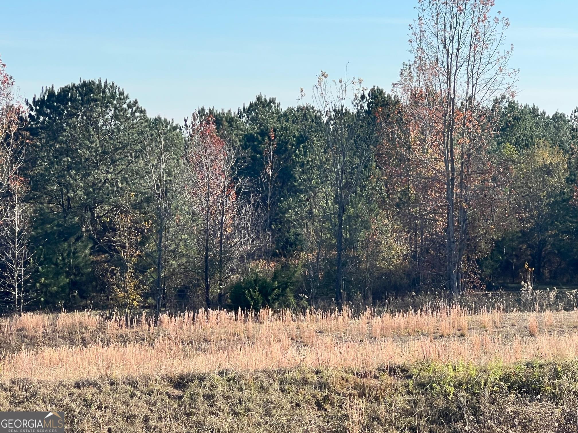 0 53 Highway Property Photo 17