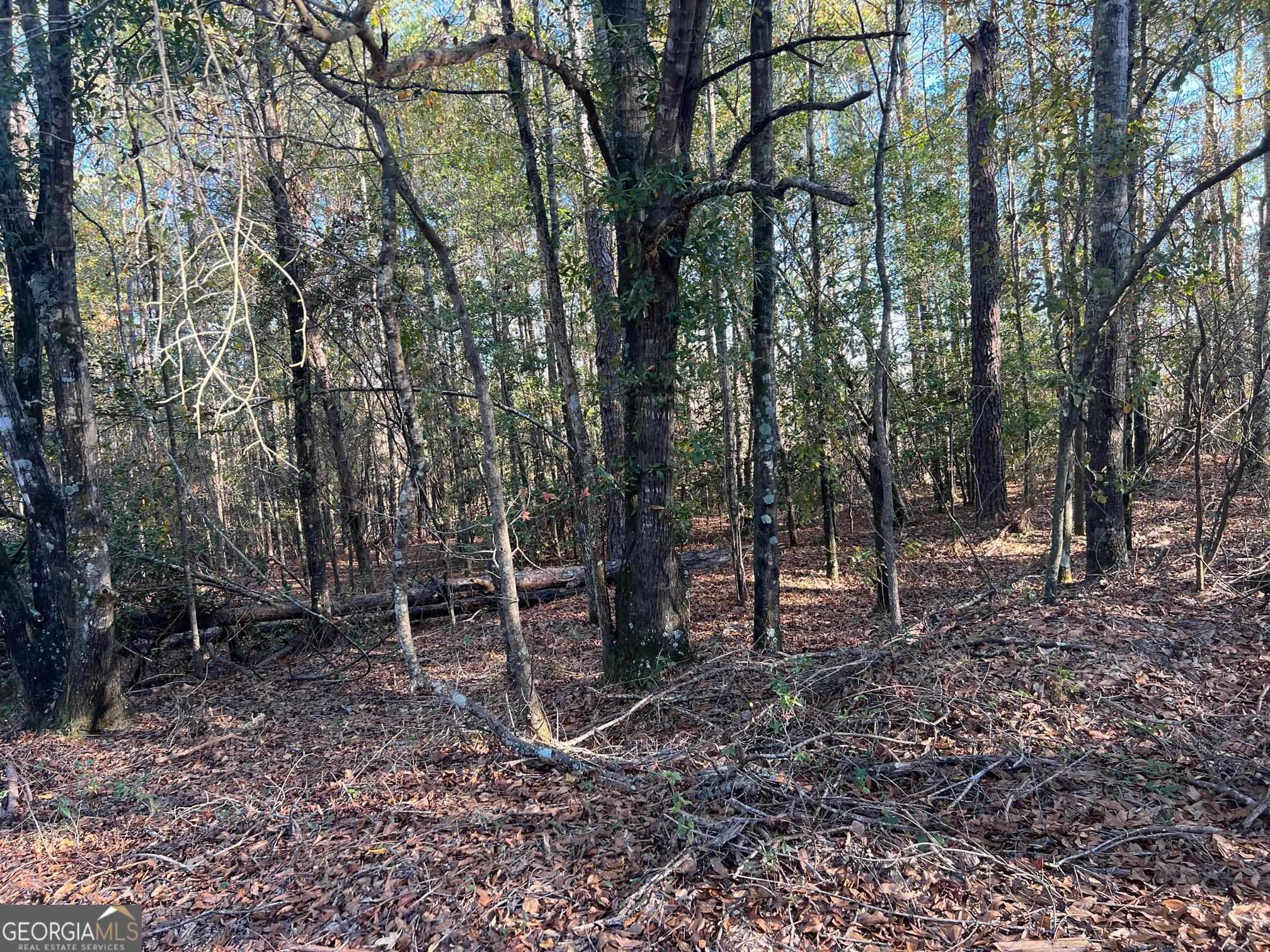 0 53 Highway Property Photo 24