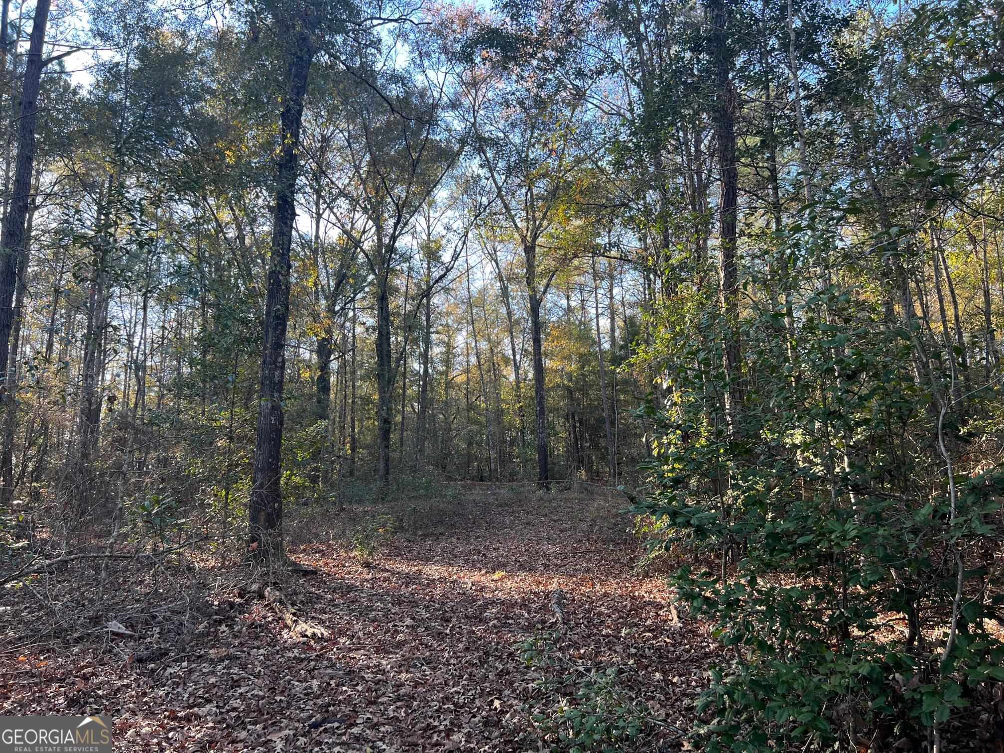 0 53 Highway Property Photo 26