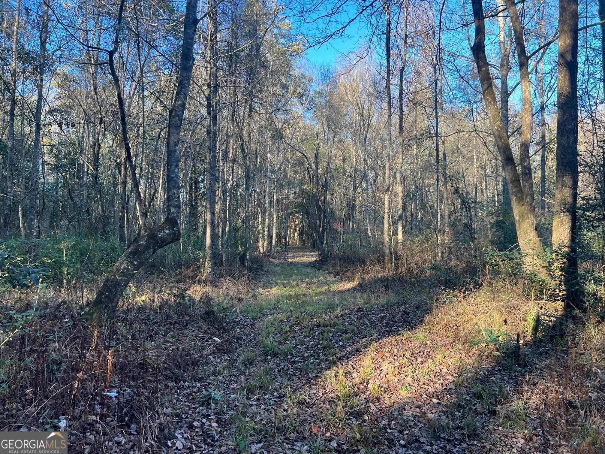 0 53 Highway Property Photo 29