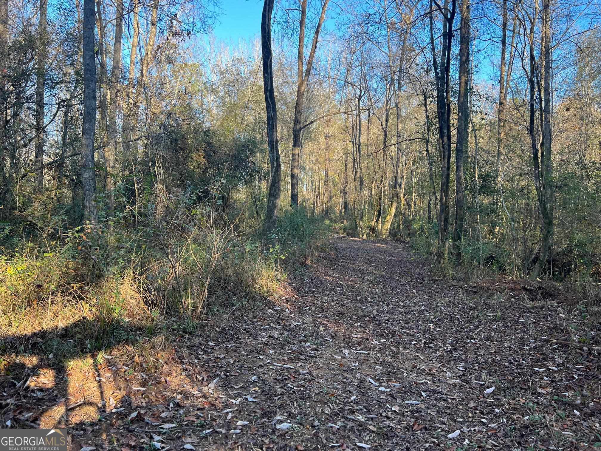 0 53 Highway Property Photo 31
