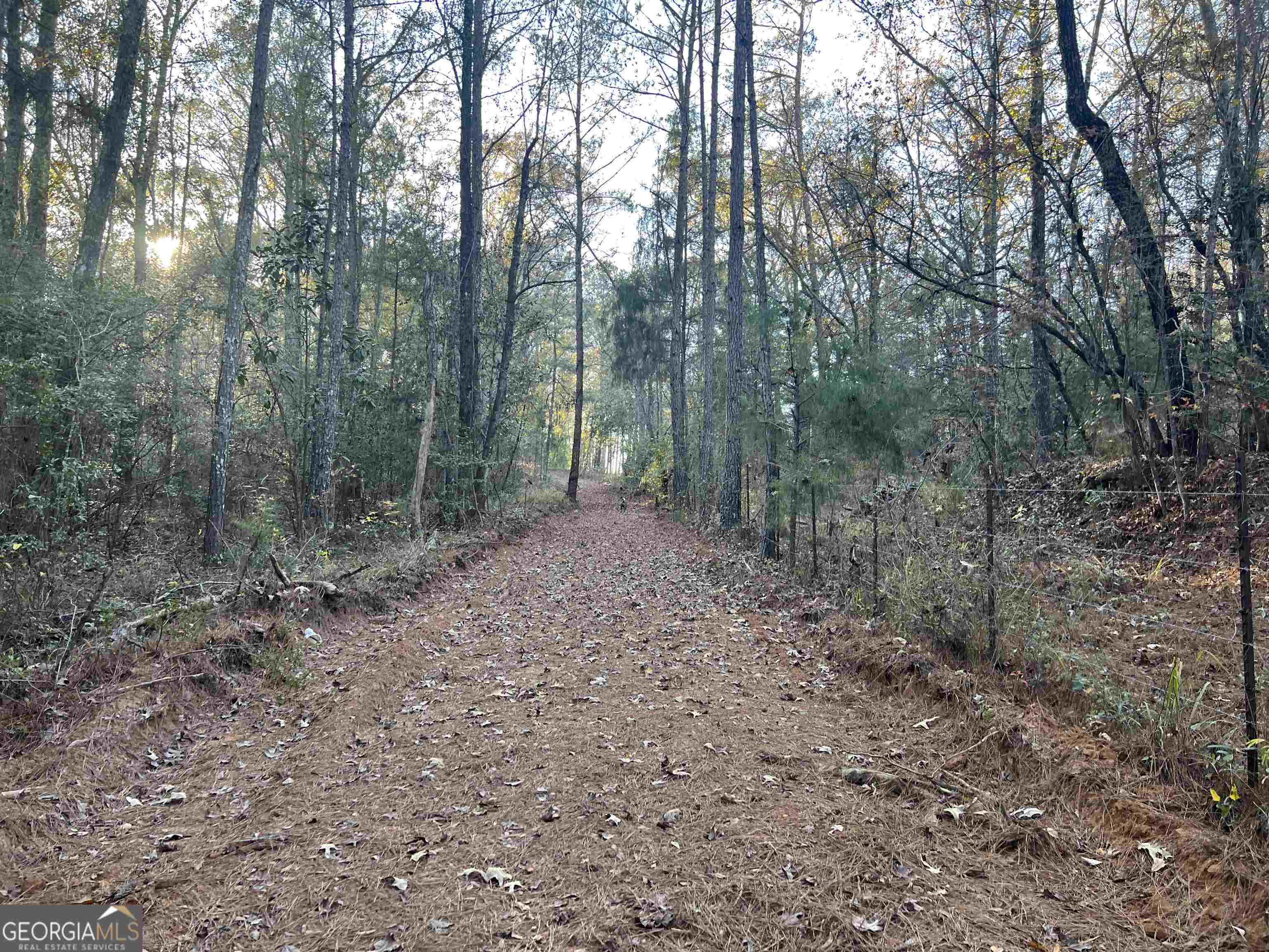 0 53 Highway Property Photo 38