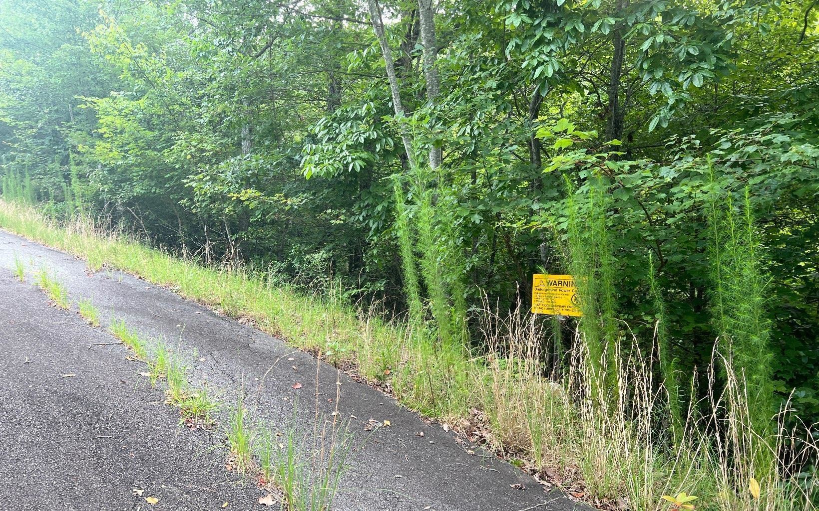 Lot 8 Preserve At Beach Mountain Property Photo 6