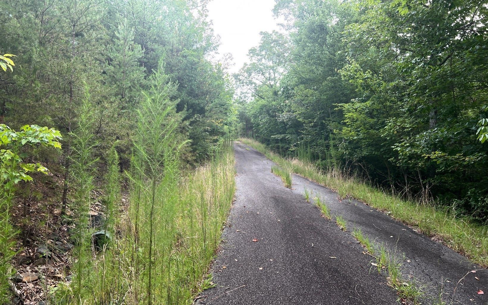 Lot 8 Preserve At Beach Mountain Property Photo 7