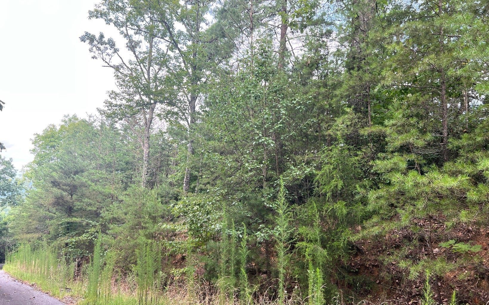 Lot 8 Preserve At Beach Mountain Property Photo 9