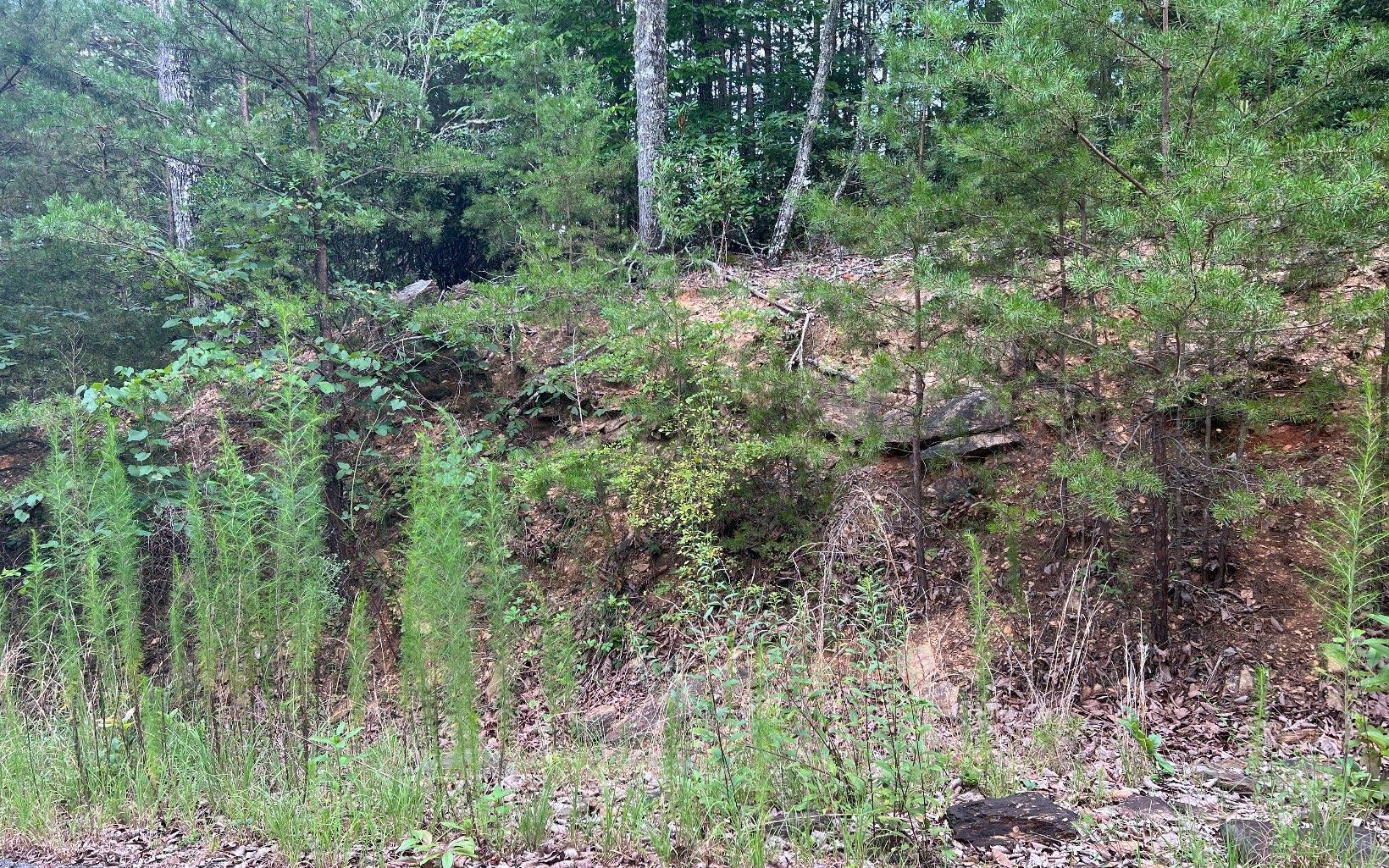 Lot 8 Preserve At Beach Mountain Property Photo 10