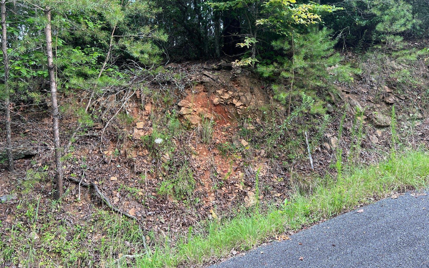 Lot 8 Preserve At Beach Mountain Property Photo 13