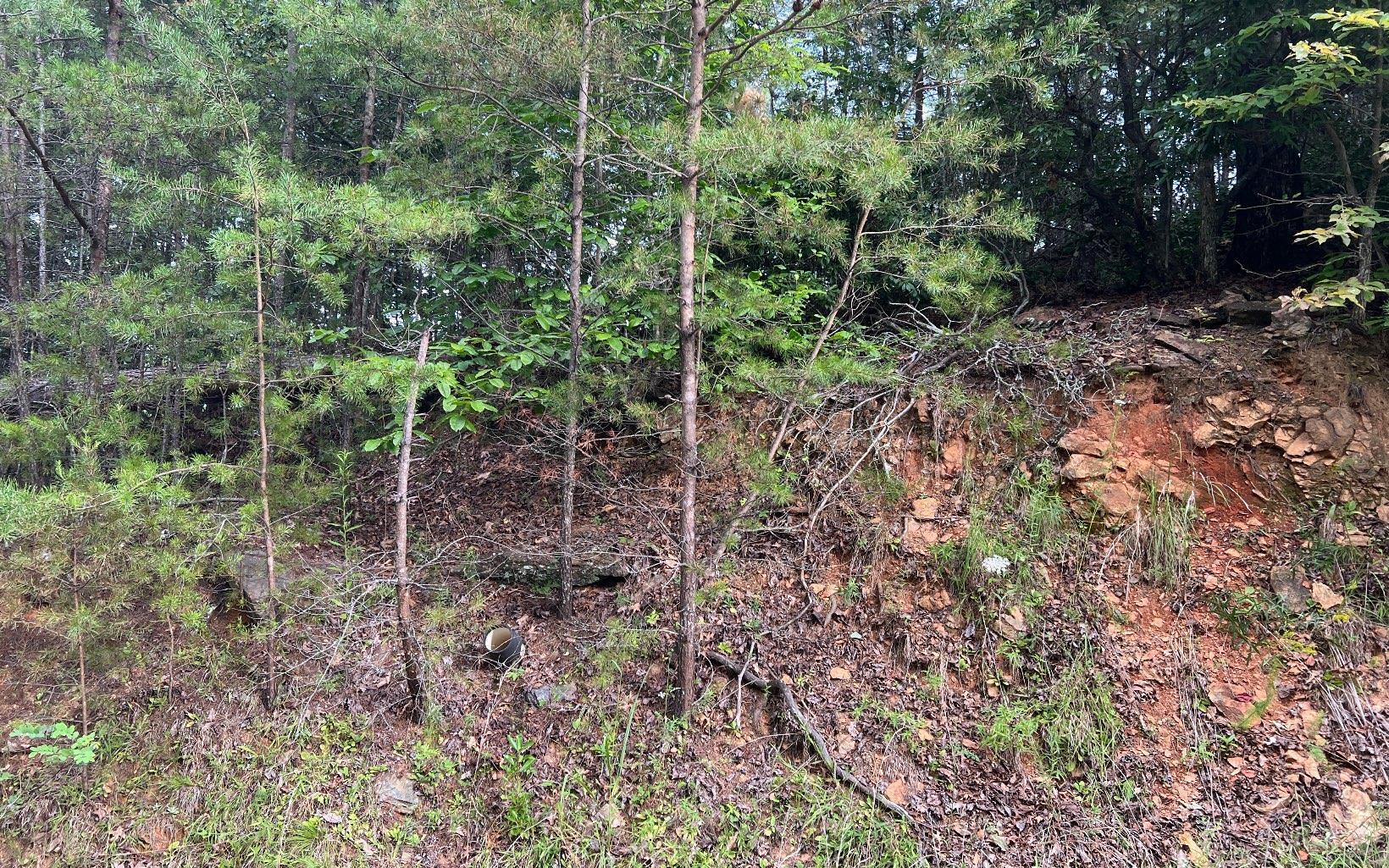 Lot 8 Preserve At Beach Mountain Property Photo 14