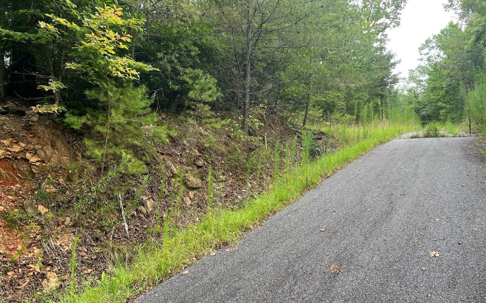 Lot 8 Preserve At Beach Mountain Property Photo 15