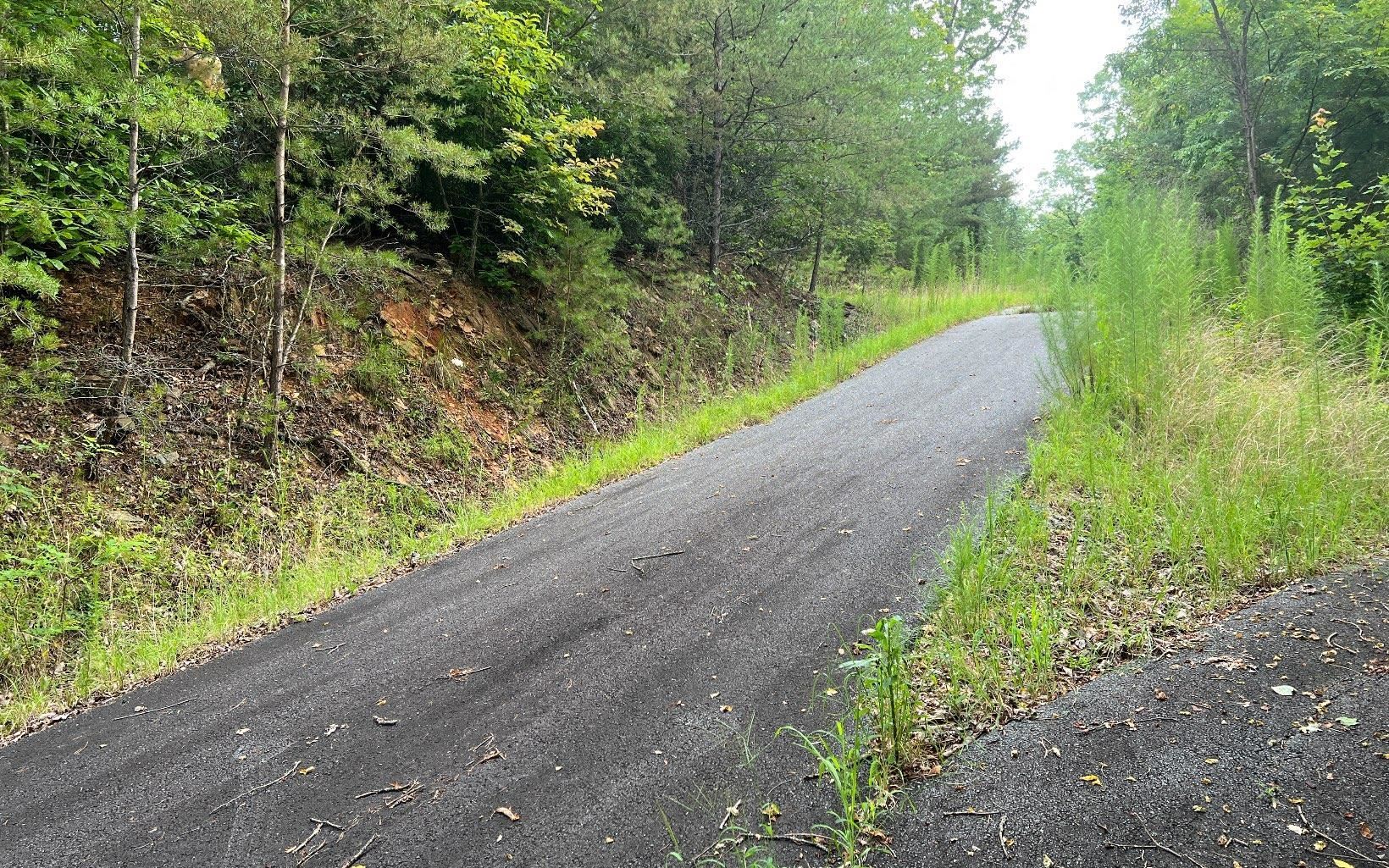 Lot 8 Preserve At Beach Mountain Property Photo 16