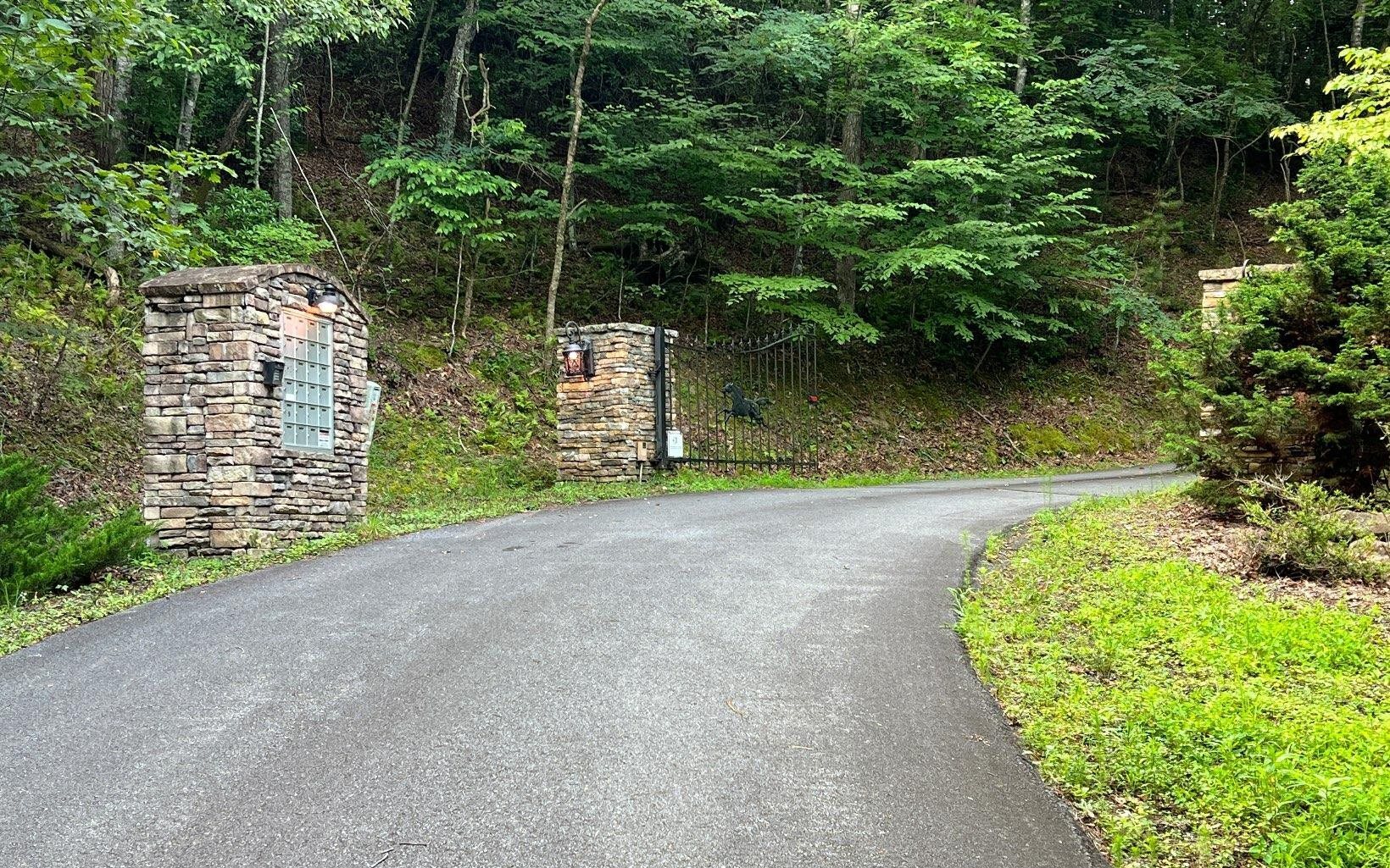 Lot 13 Preserve At Beach Mountain Property Photo 2