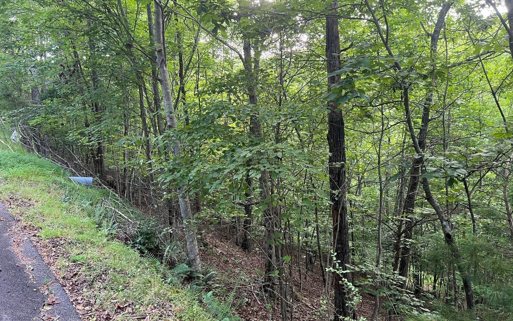 Lot 13 Preserve At Beach Mountain Property Photo 3