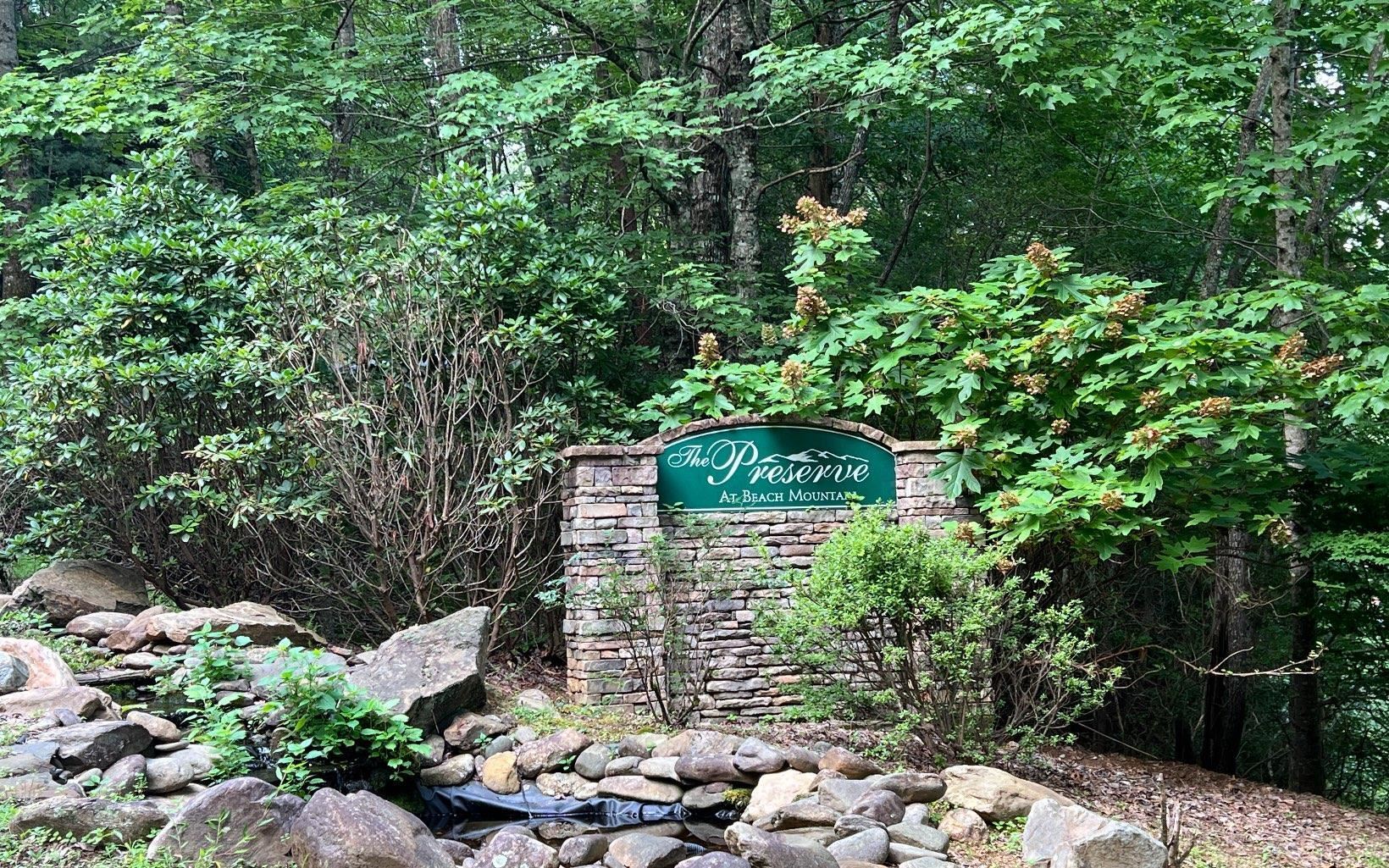 Lot 13 Preserve At Beach Mountain Property Photo 4
