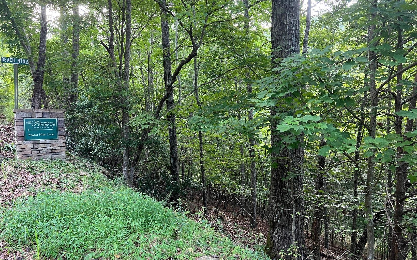 Lot 13 Preserve At Beach Mountain Property Photo 5