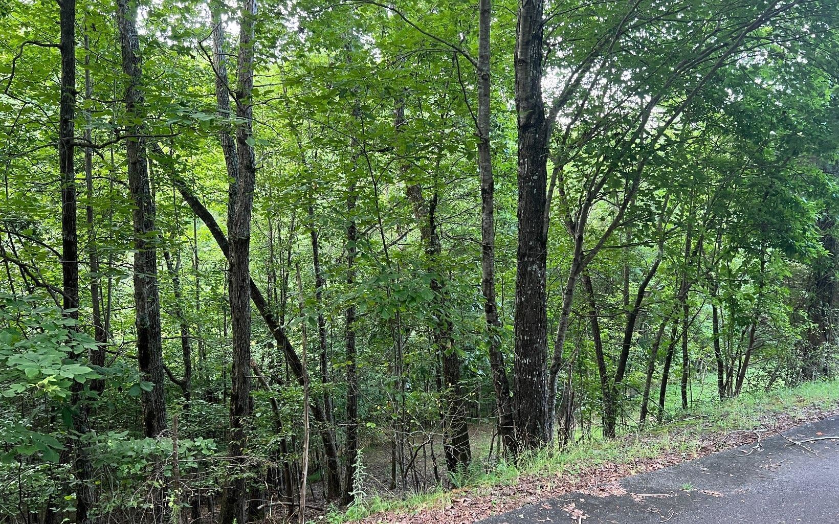Lot 13 Preserve At Beach Mountain Property Photo 8