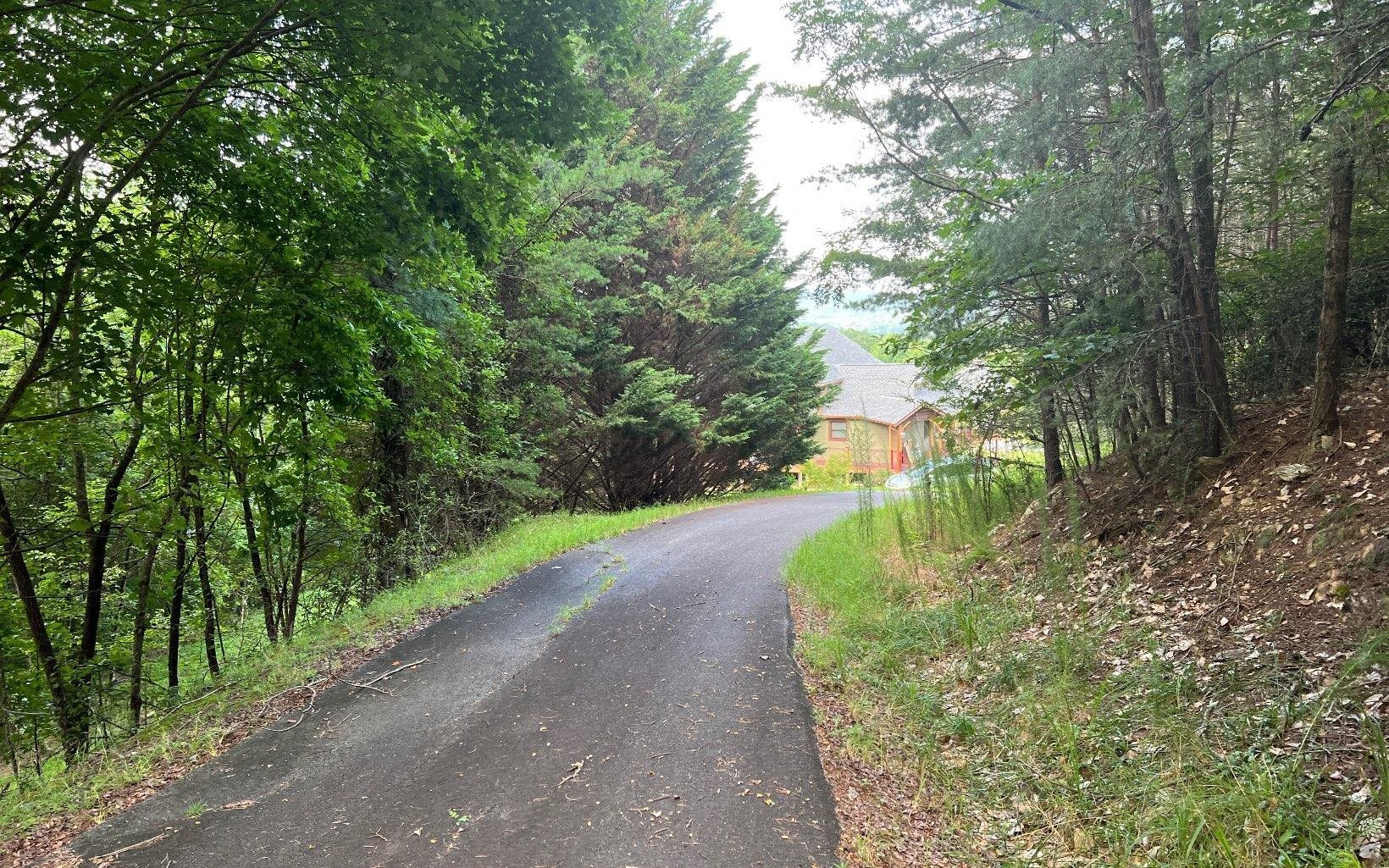 Lot 13 Preserve At Beach Mountain Property Photo 9