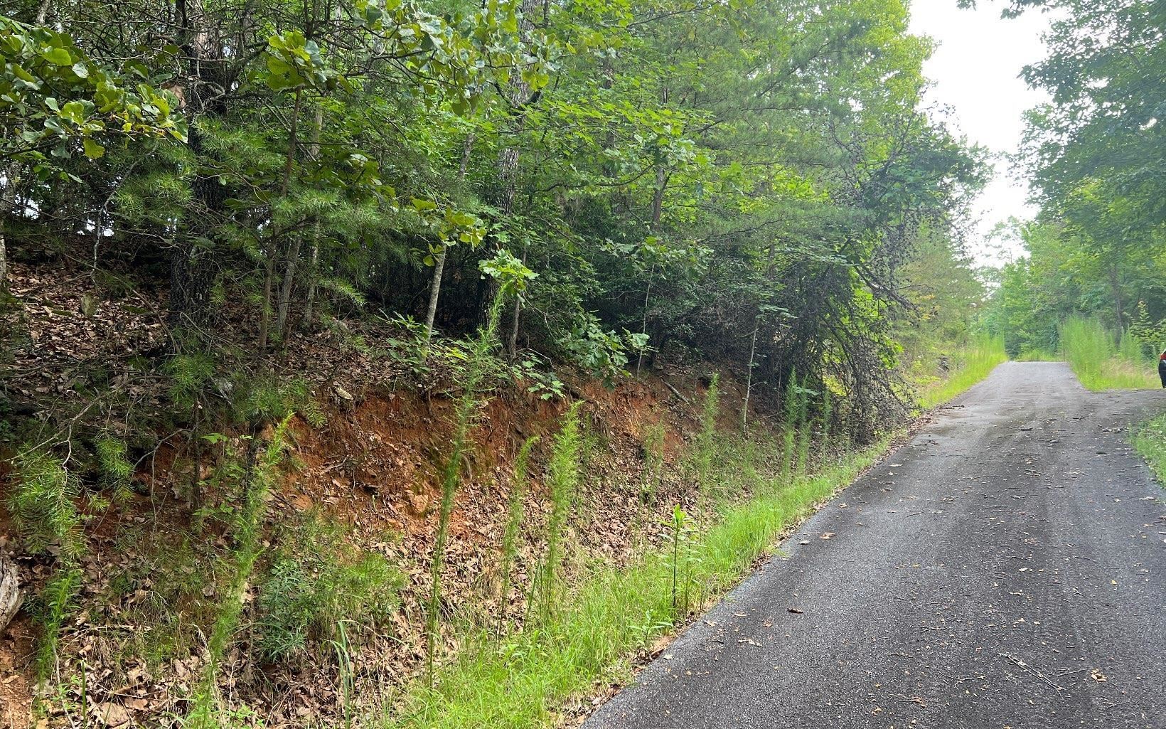 Lot 13 Preserve At Beach Mountain Property Photo 10