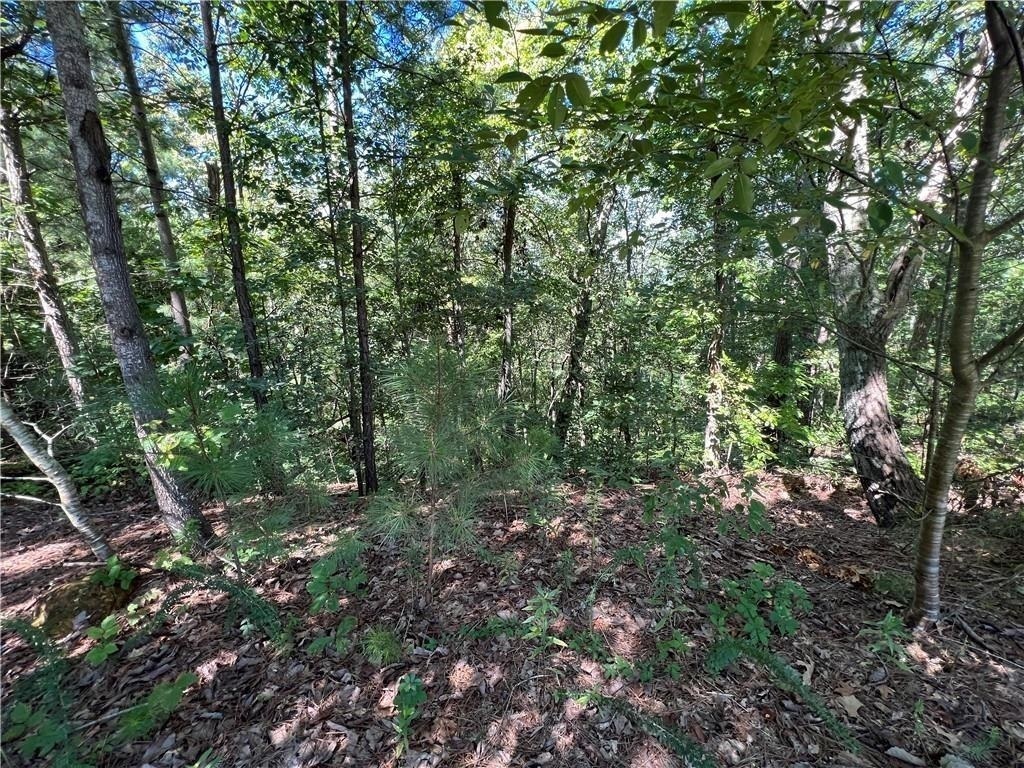 16 Hawks Branch Lane # 123 Property Photo 5