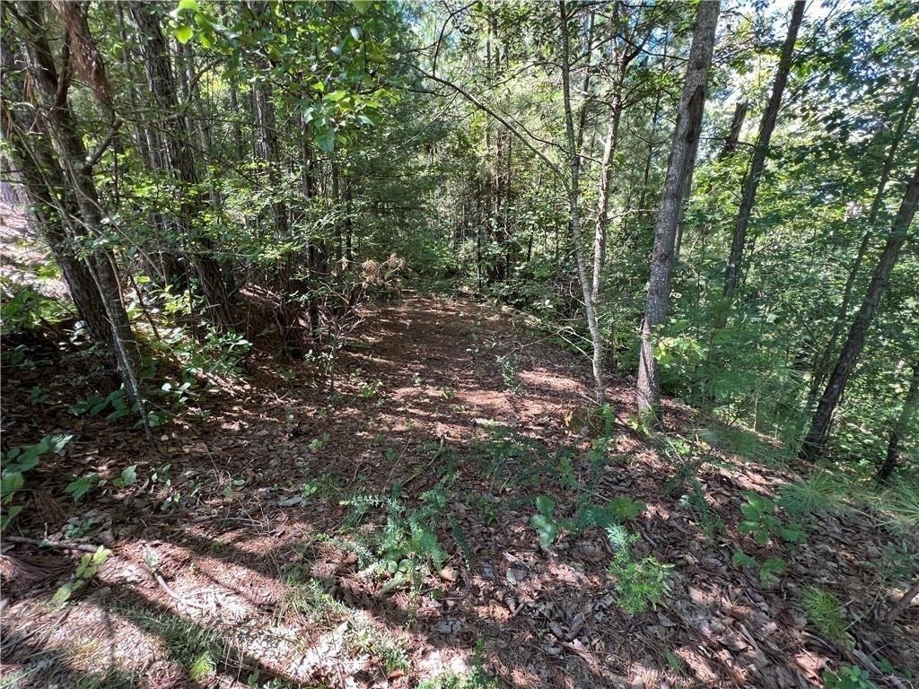16 Hawks Branch Lane # 123 Property Photo 6