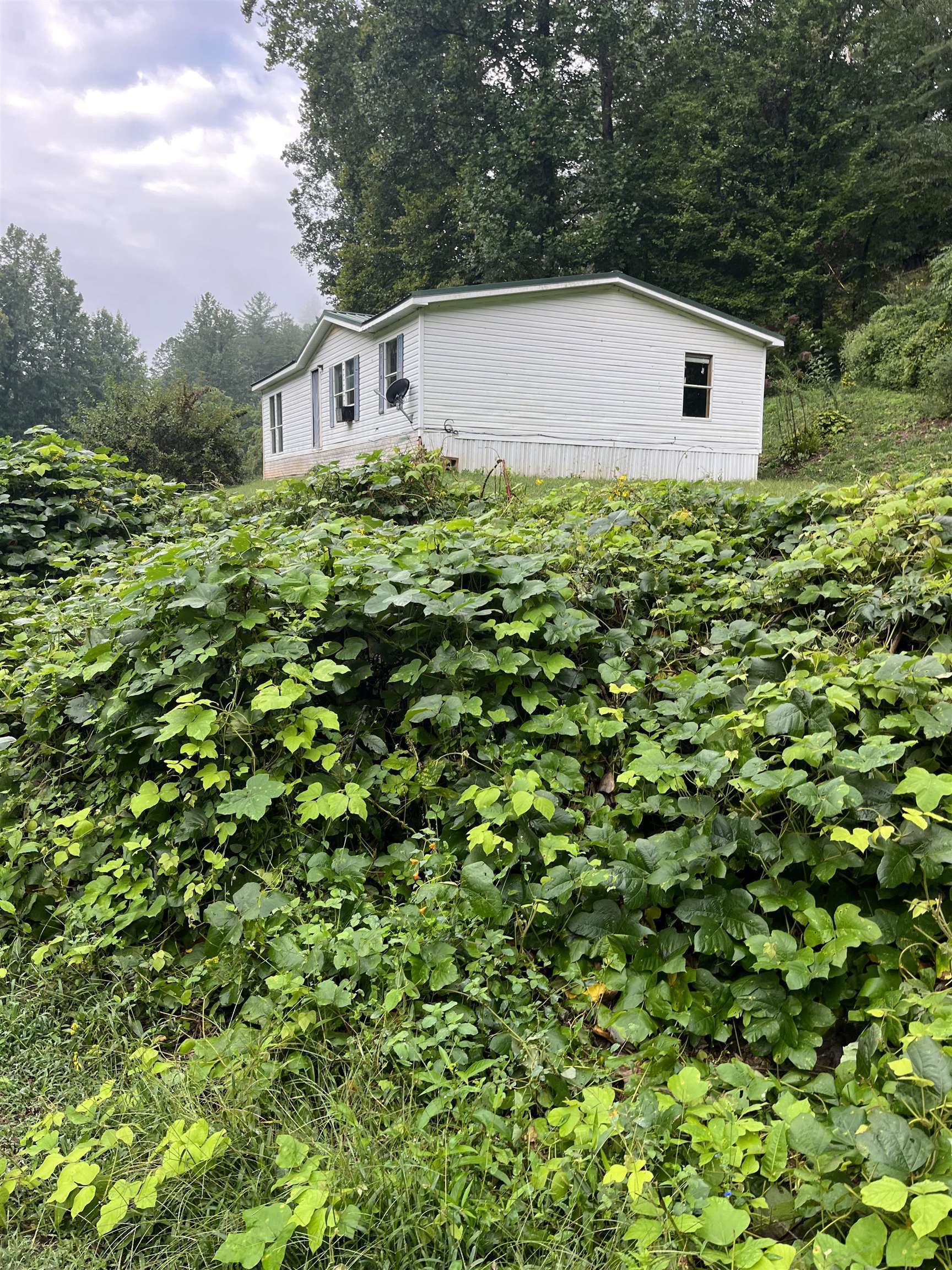 5 Bryson Branch Road Property Photo 5