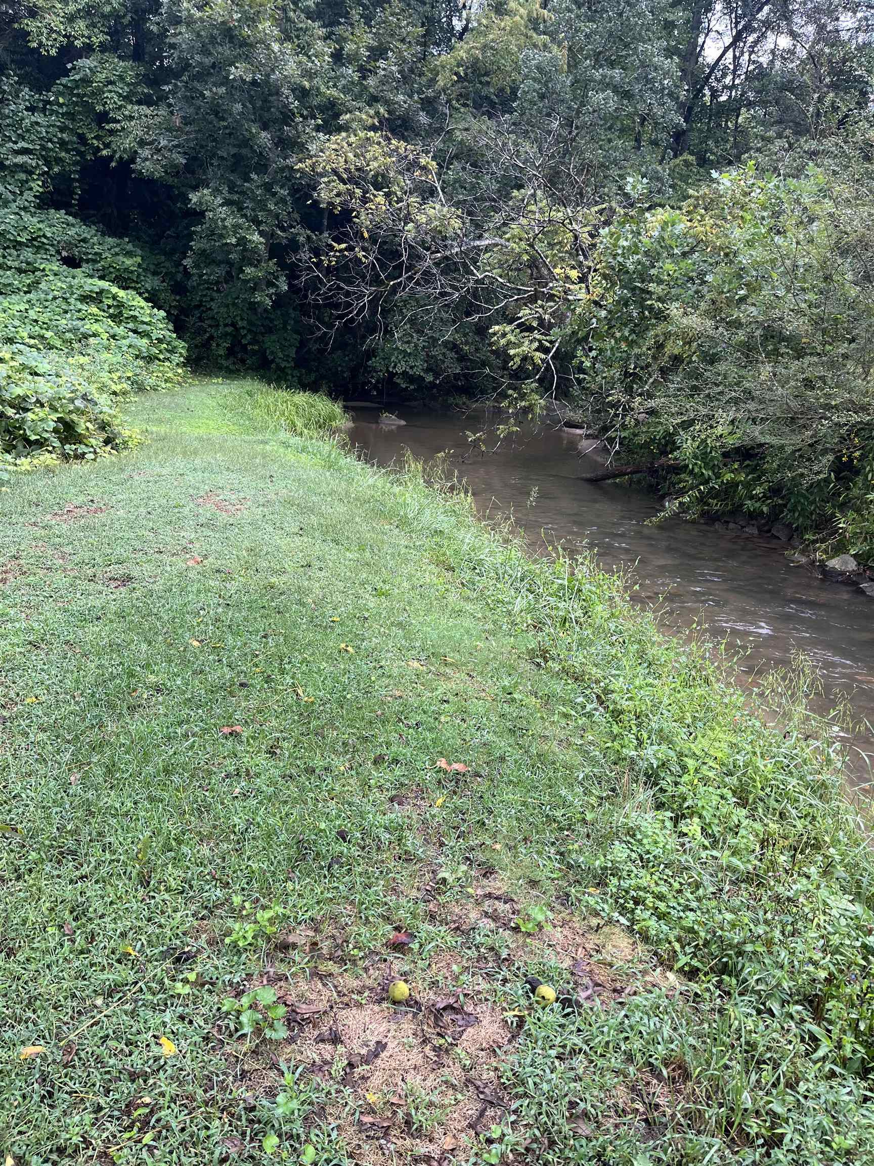 5 Bryson Branch Road Property Photo 12