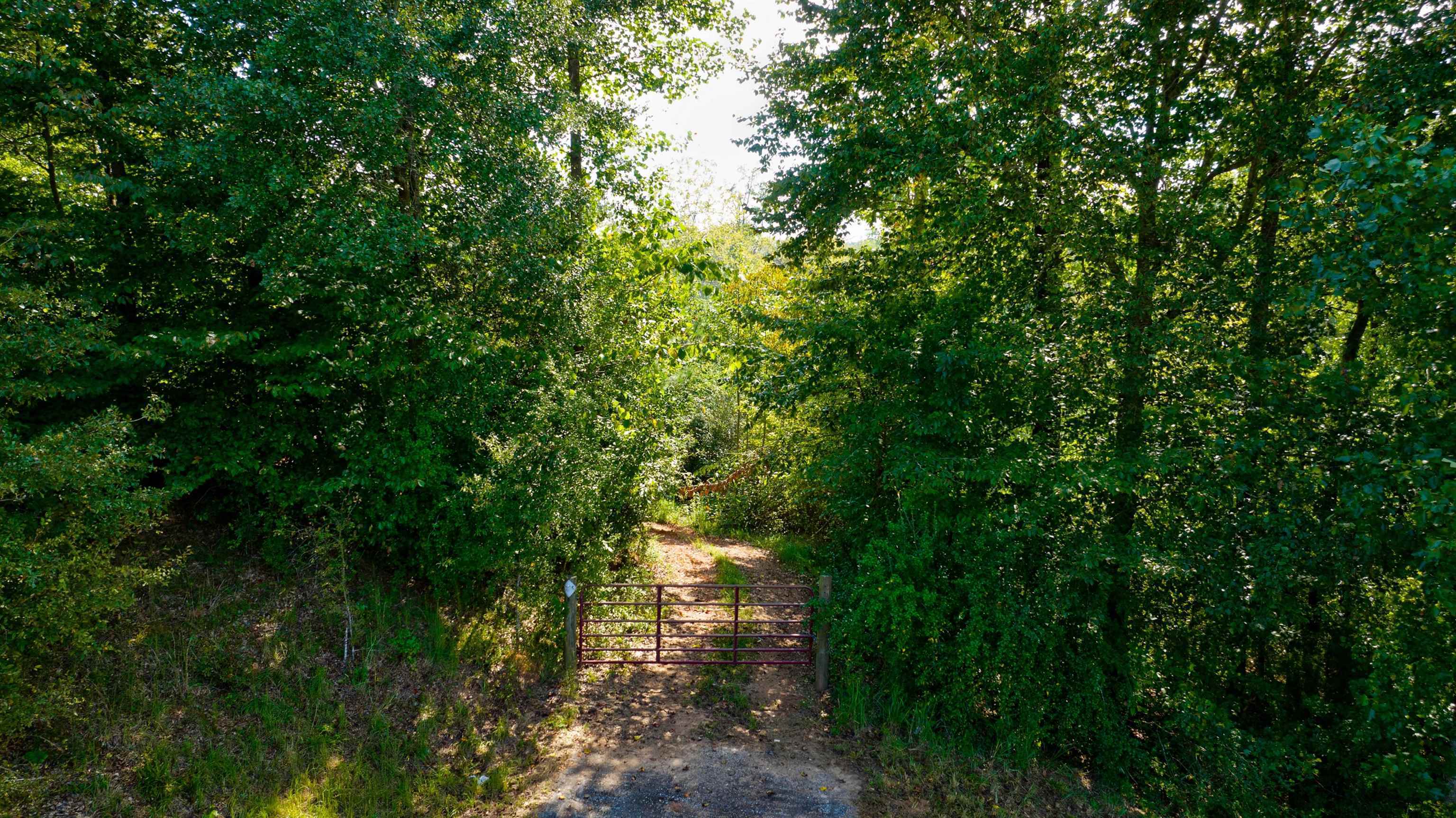 0 Mccoy Bridge Road Property Photo 3