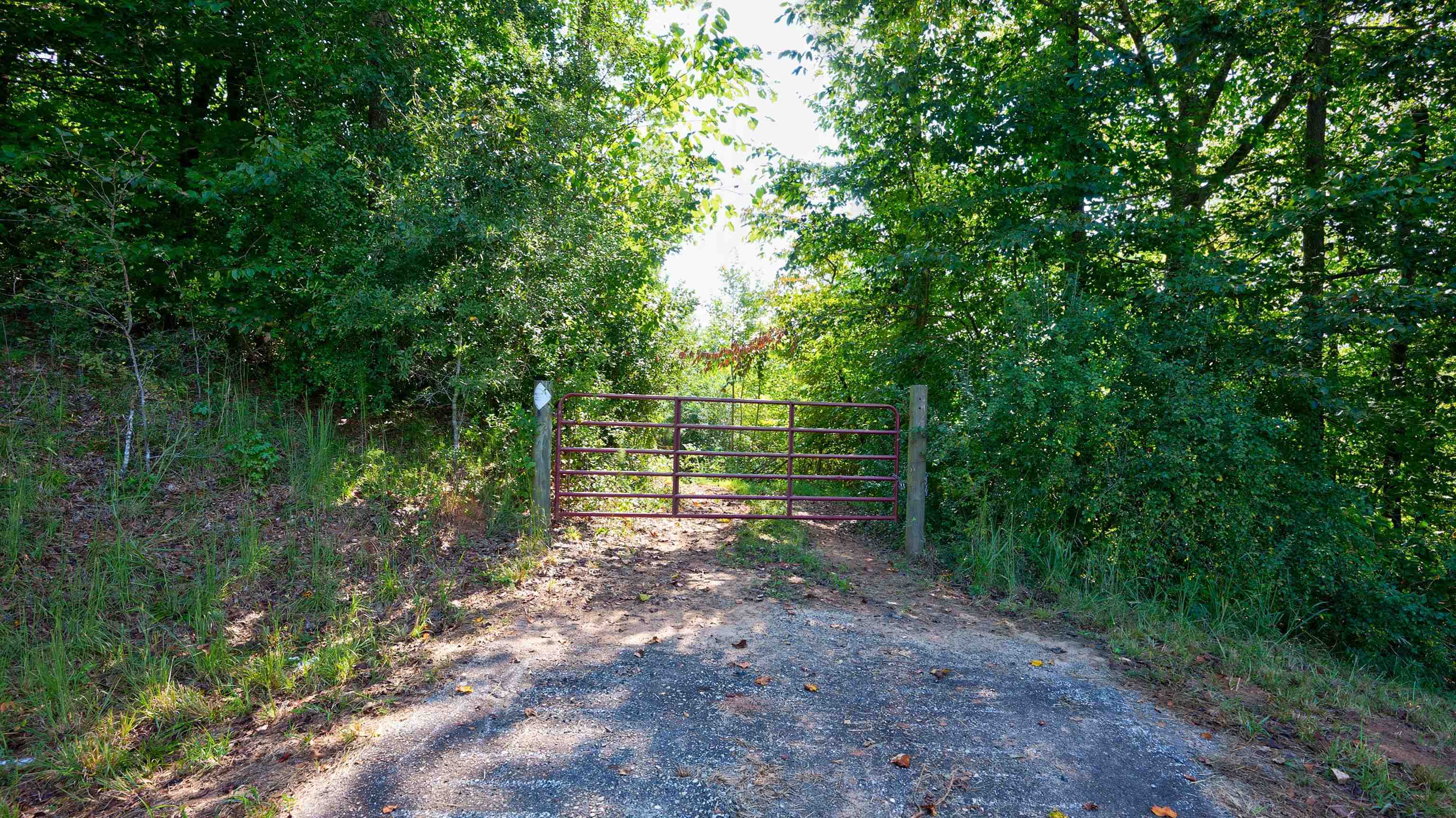 0 Mccoy Bridge Road Property Photo 6