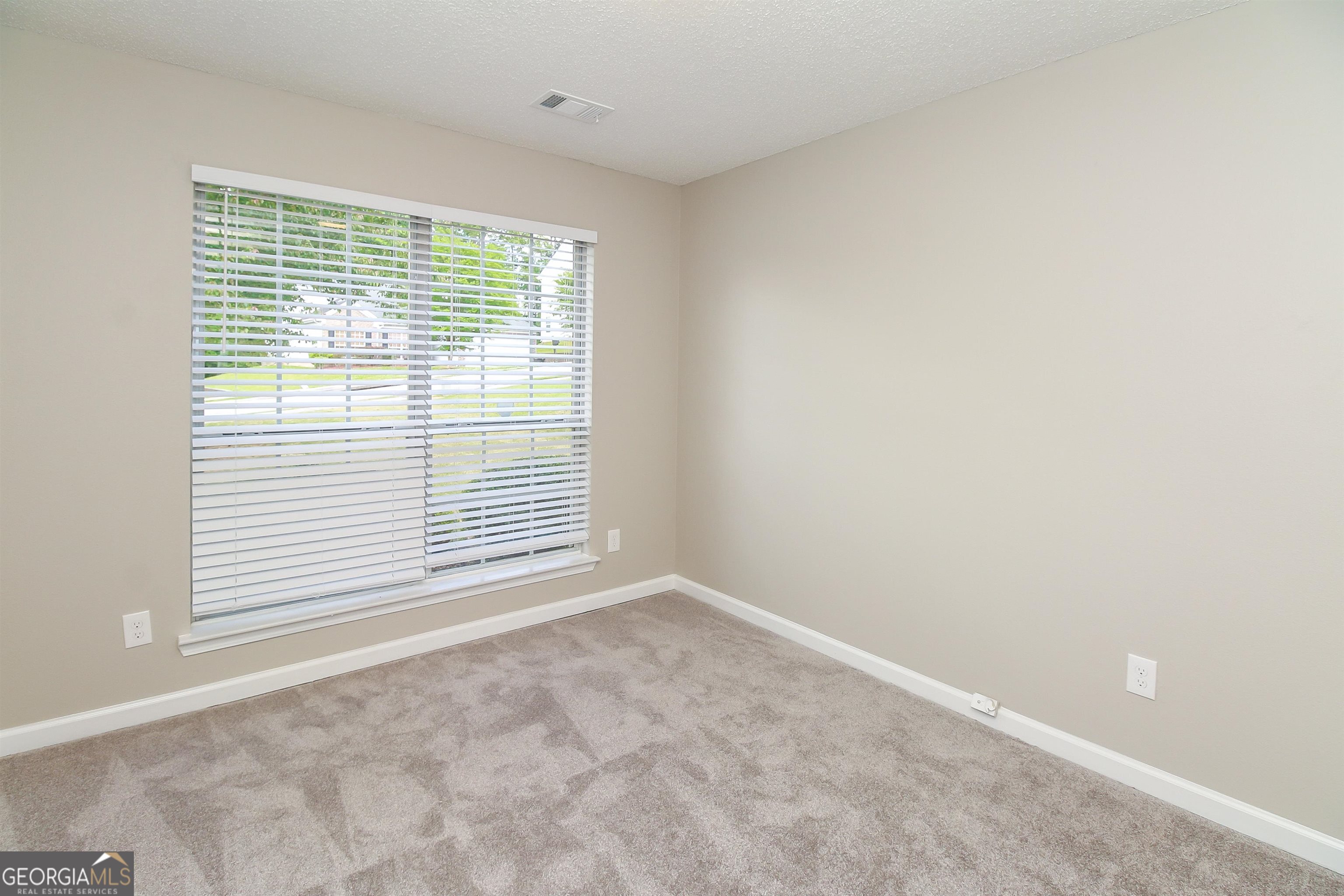 10127 Deep Creek Drive Property Photo 13