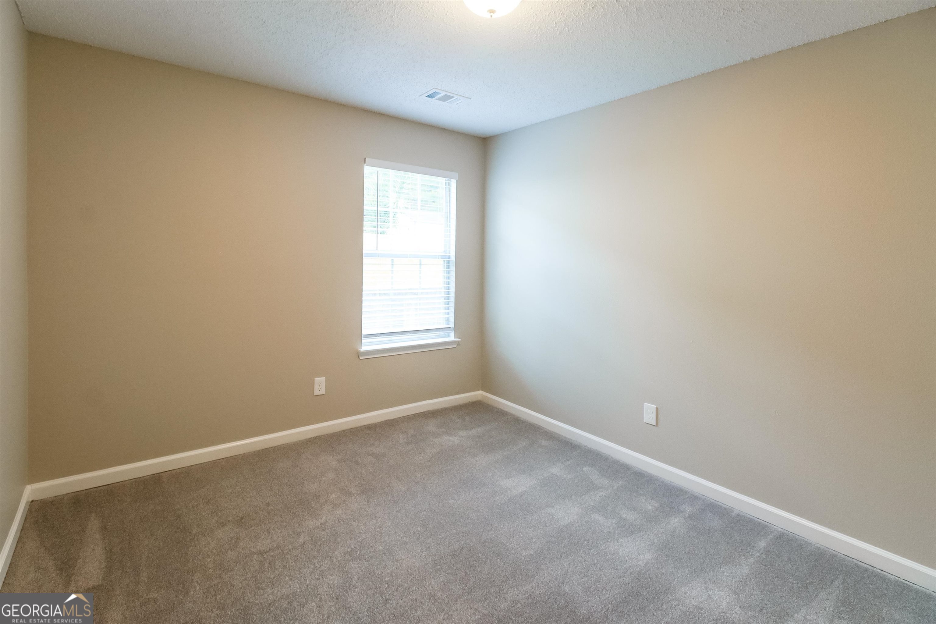 10127 Deep Creek Drive Property Photo 14