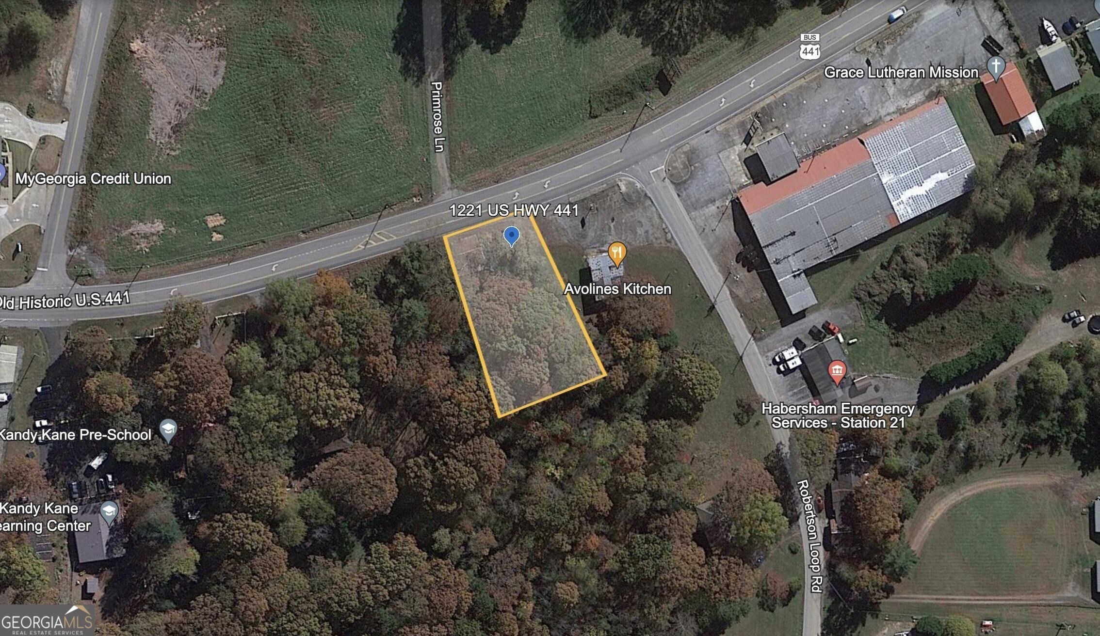 1221 Historic Hwy 441 N Property Photo 2
