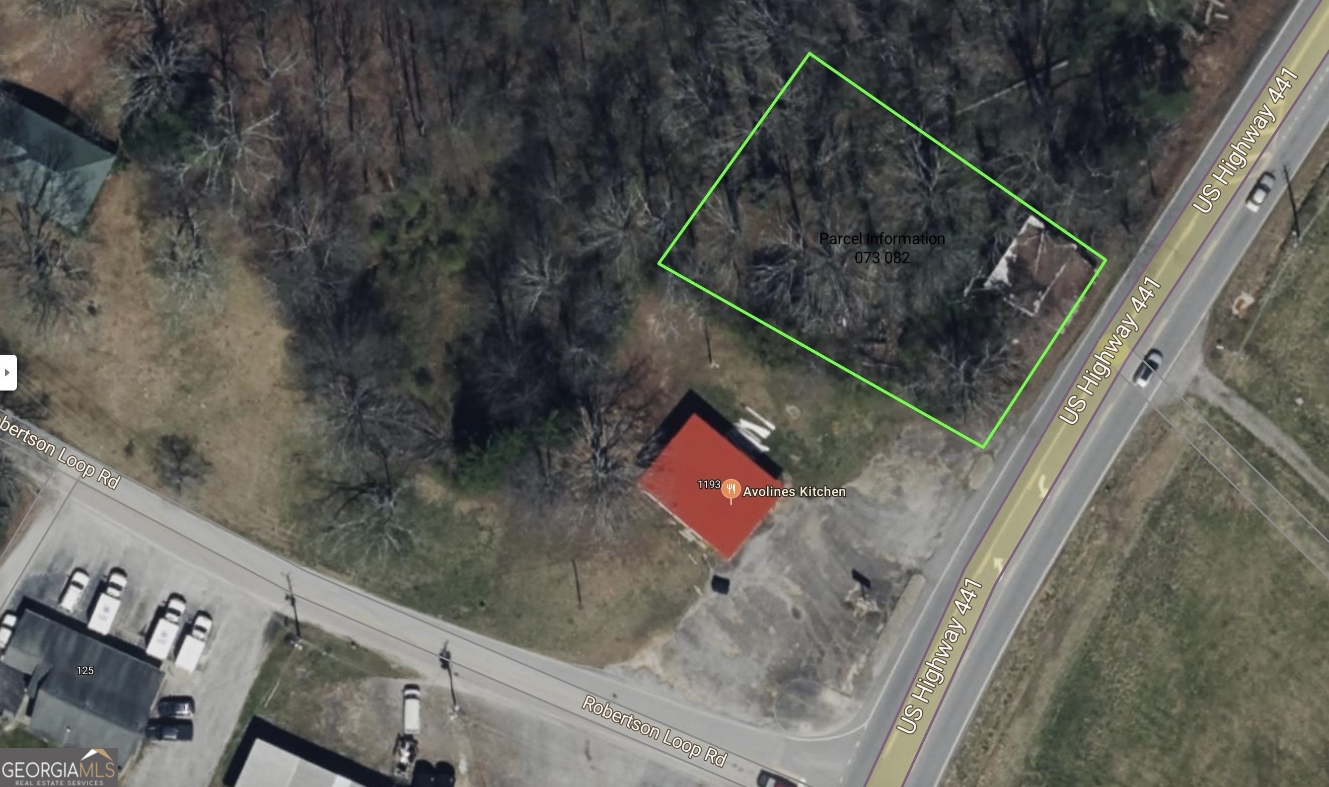1221 Historic Hwy 441 N Property Photo 10