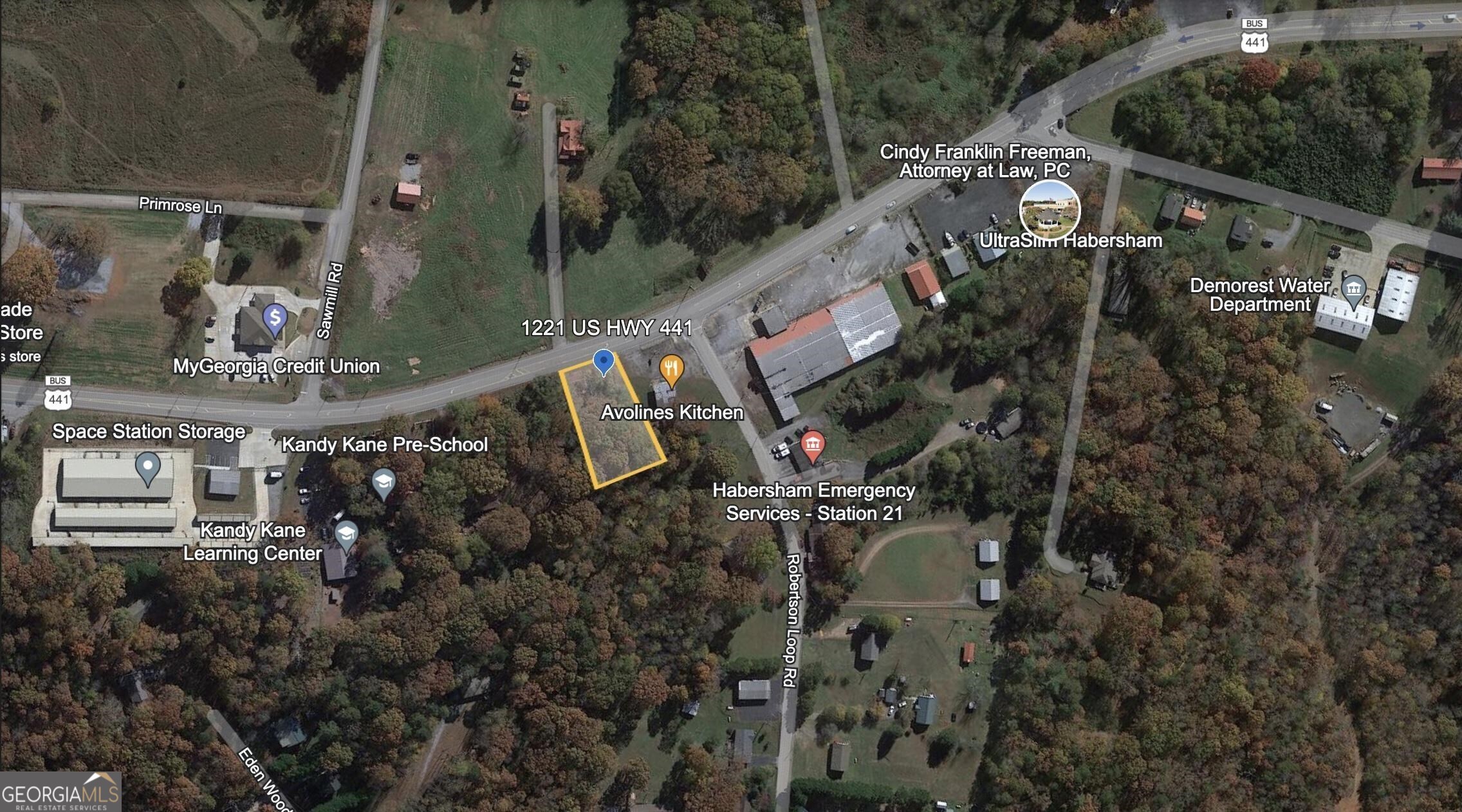 1221 Historic Hwy 441 N Property Photo 12