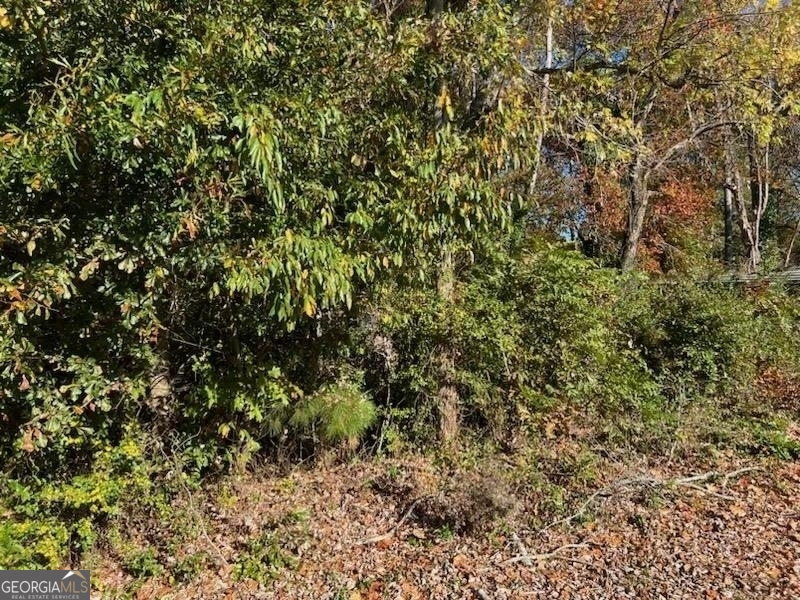 1221 Historic Hwy 441 N Property Photo 18