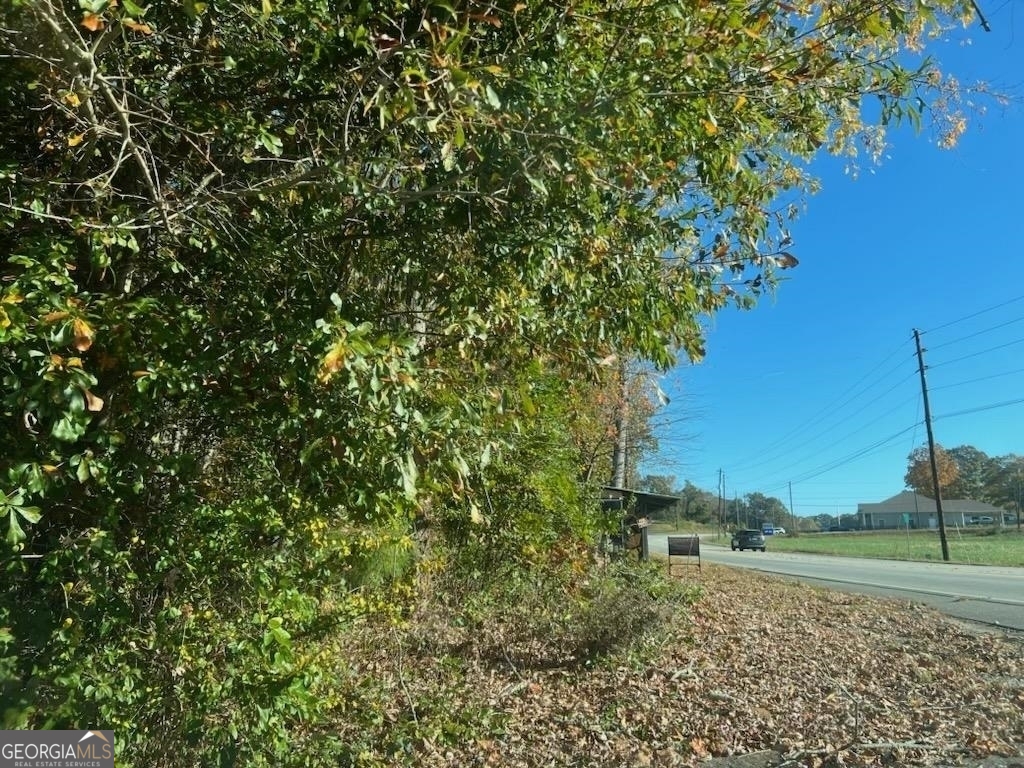 1221 Historic Hwy 441 N Property Photo 19