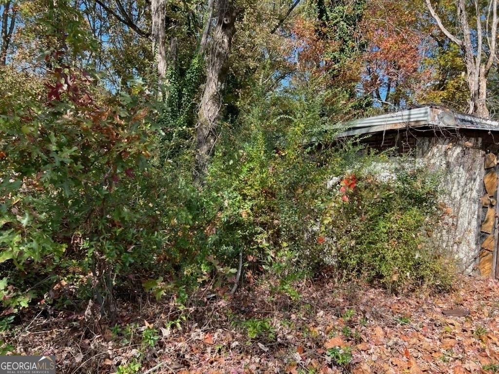 1221 Historic Hwy 441 N Property Photo 20