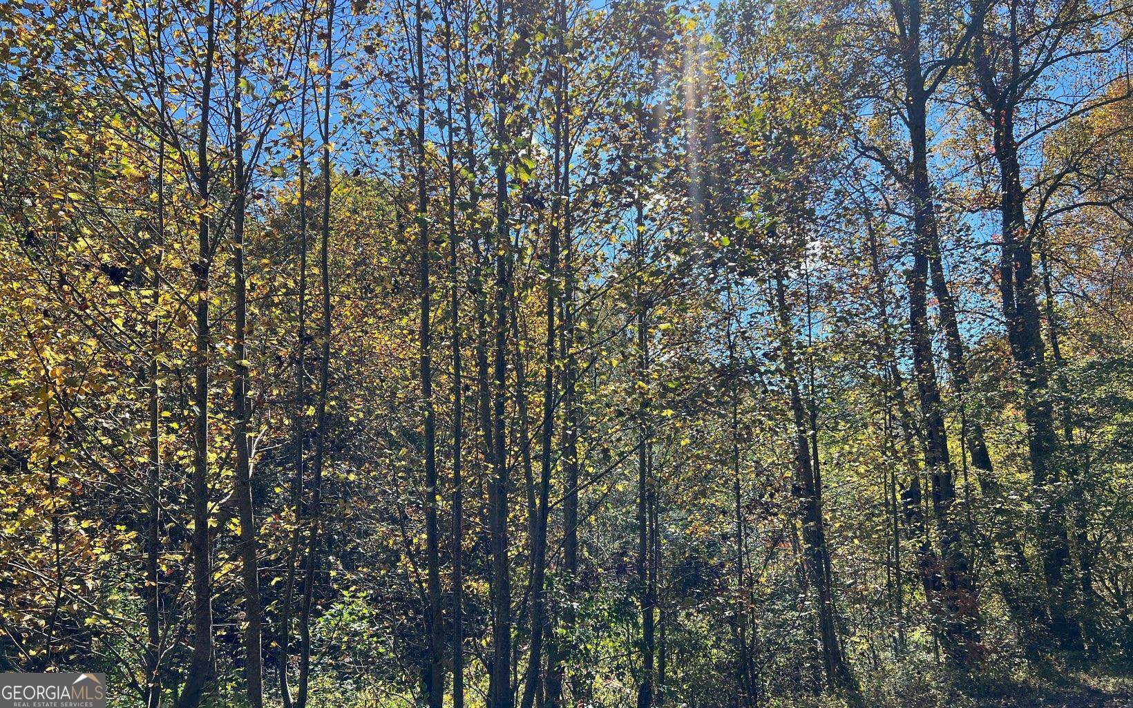 4 Ac Tusquittee Road Property Photo 1