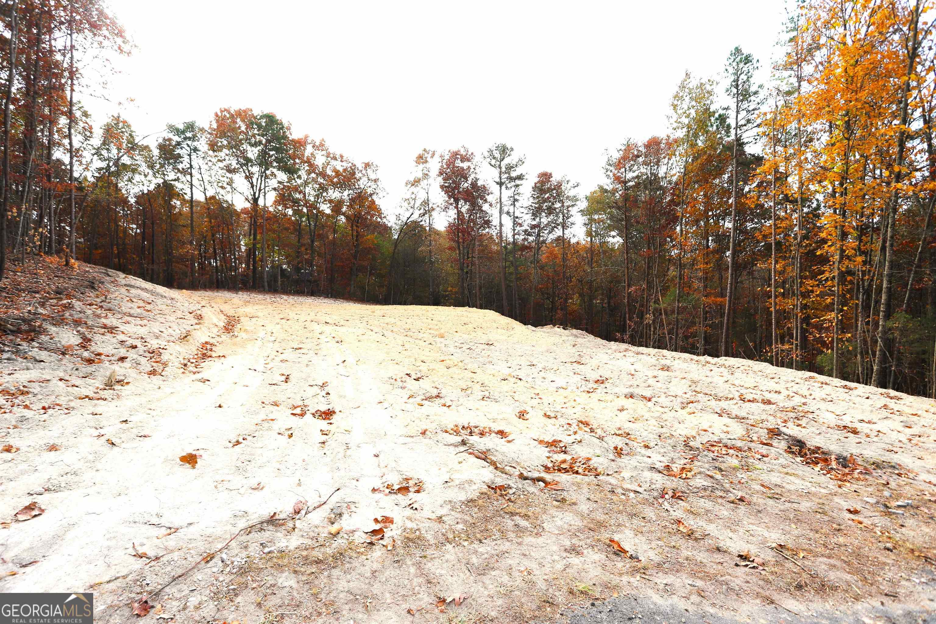 249 Sara Jane Lane Property Photo 3