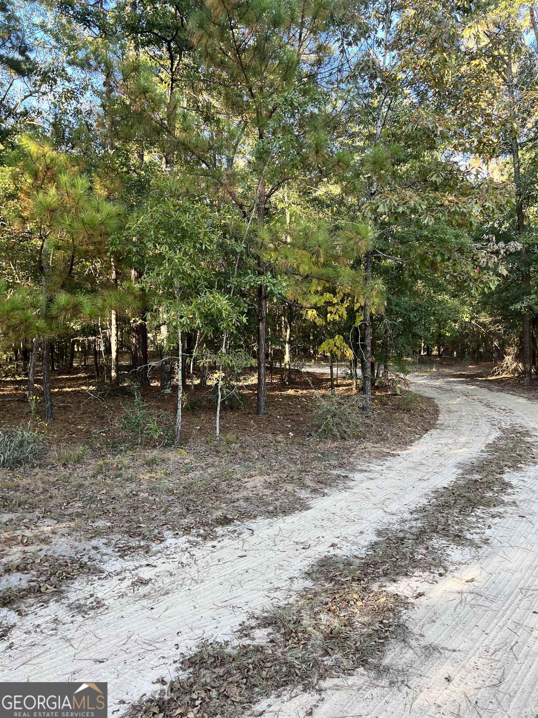 2382 Gallimore Mill Road Property Photo 72