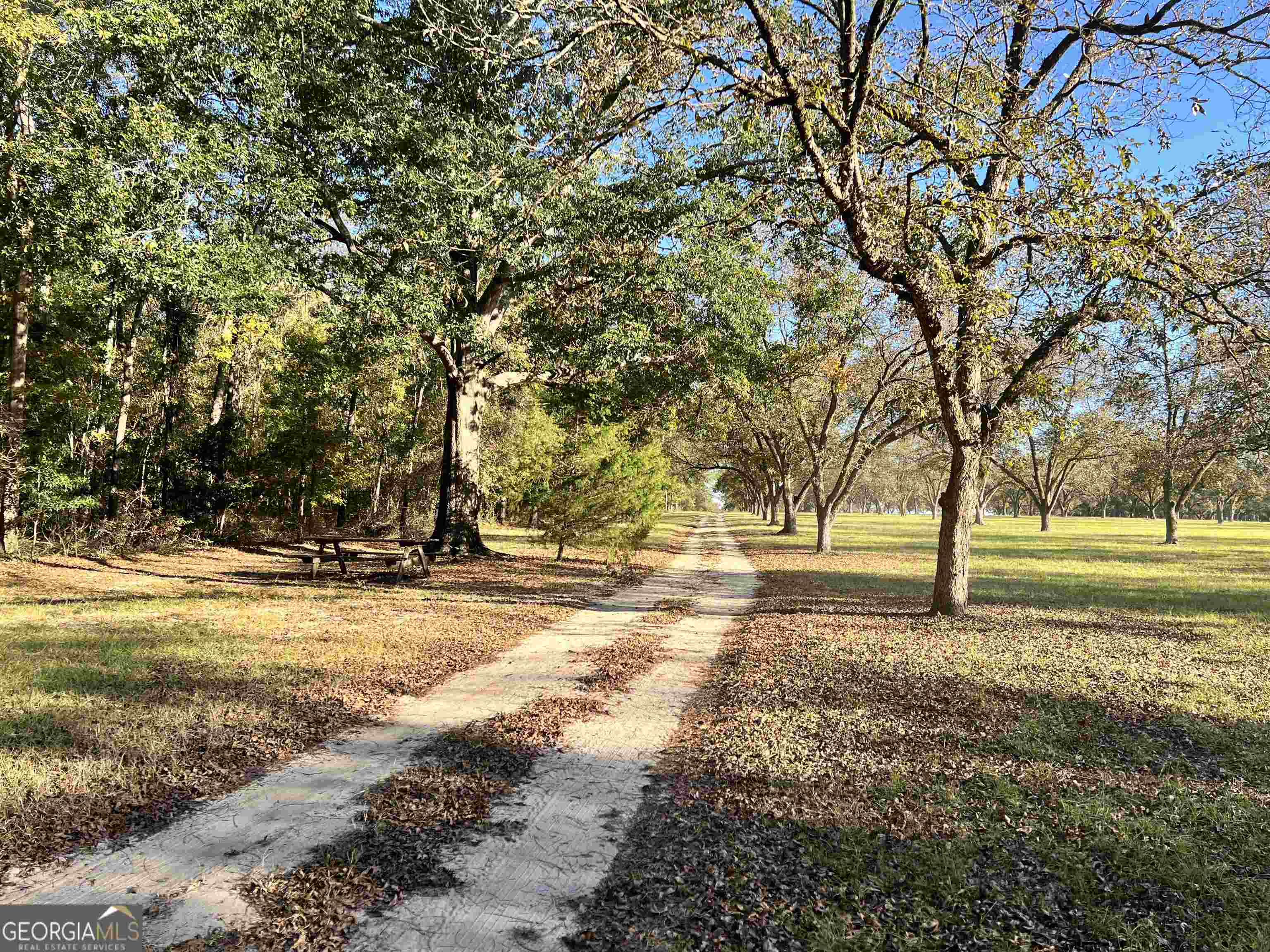 2382 Gallimore Mill Road Property Photo 76
