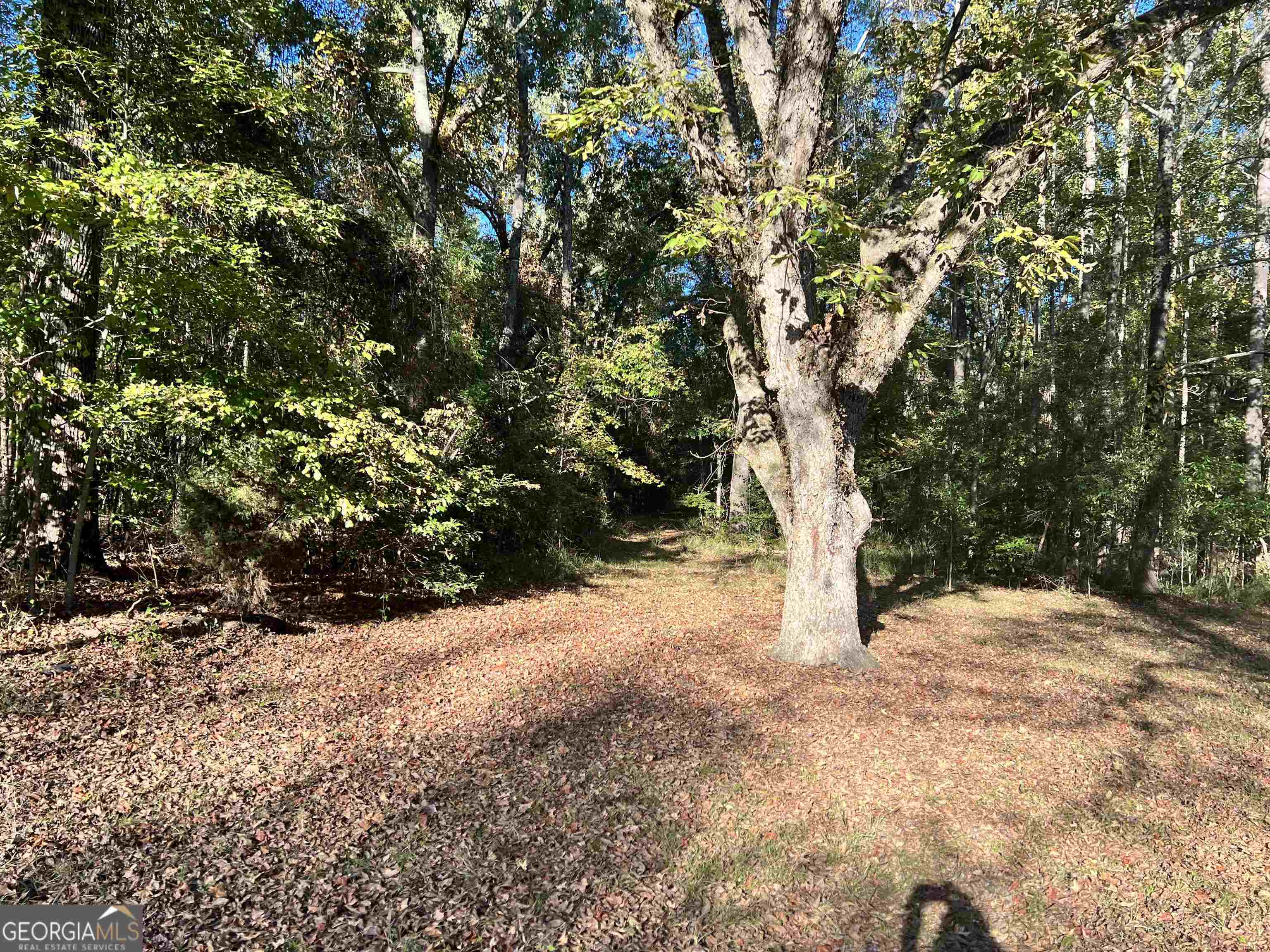 2382 Gallimore Mill Road Property Photo 78
