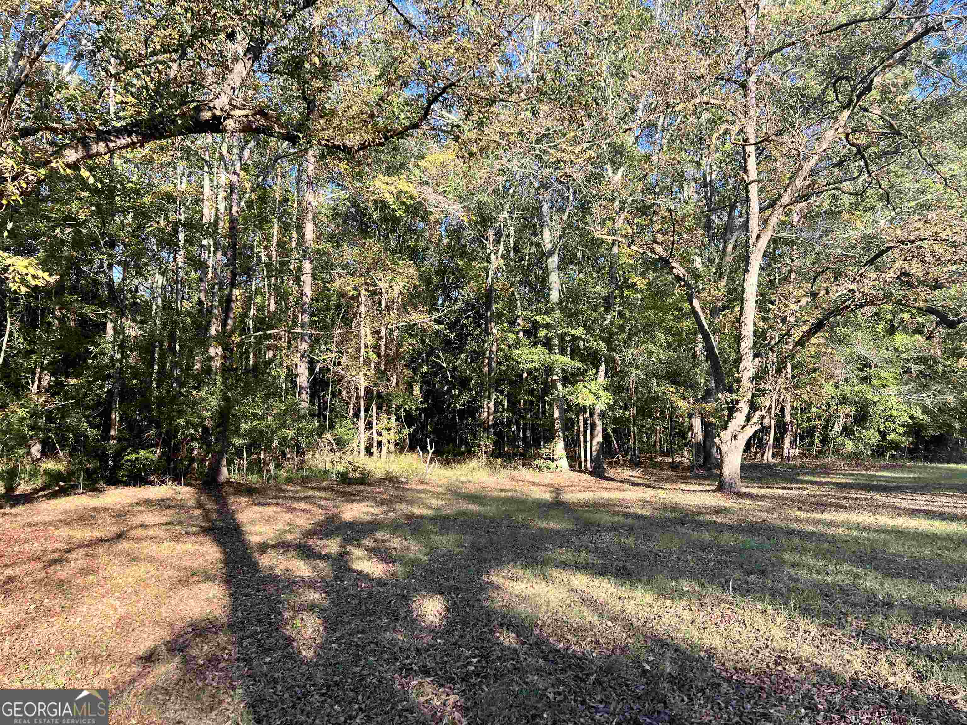 2382 Gallimore Mill Road Property Photo 80
