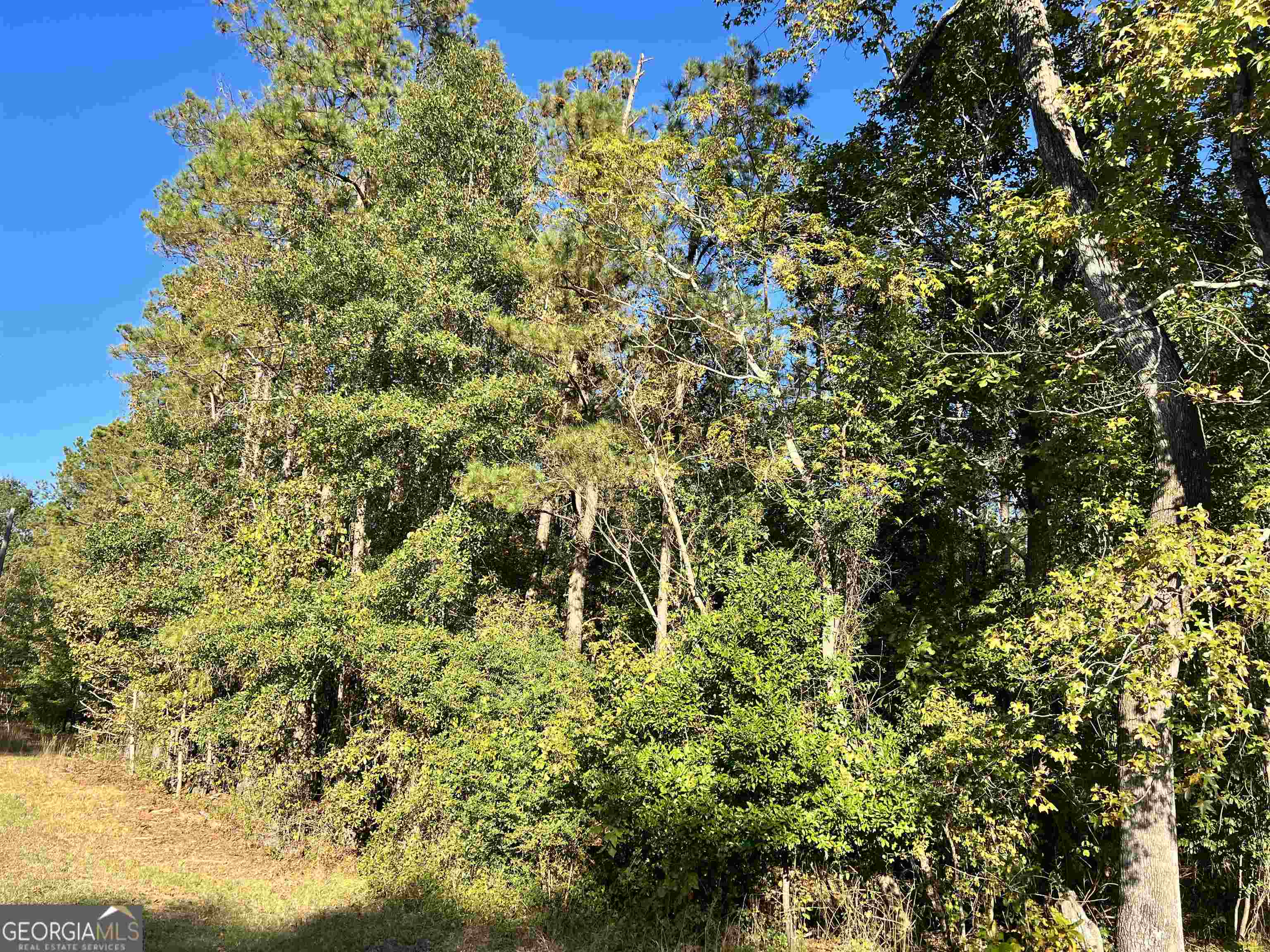 2382 Gallimore Mill Road Property Photo 81